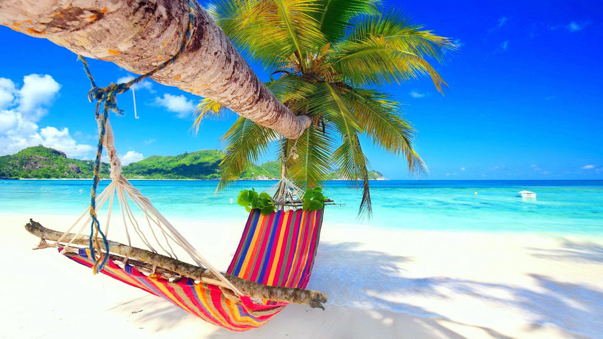 风景,风光,大海,椰树,海岛,吊床