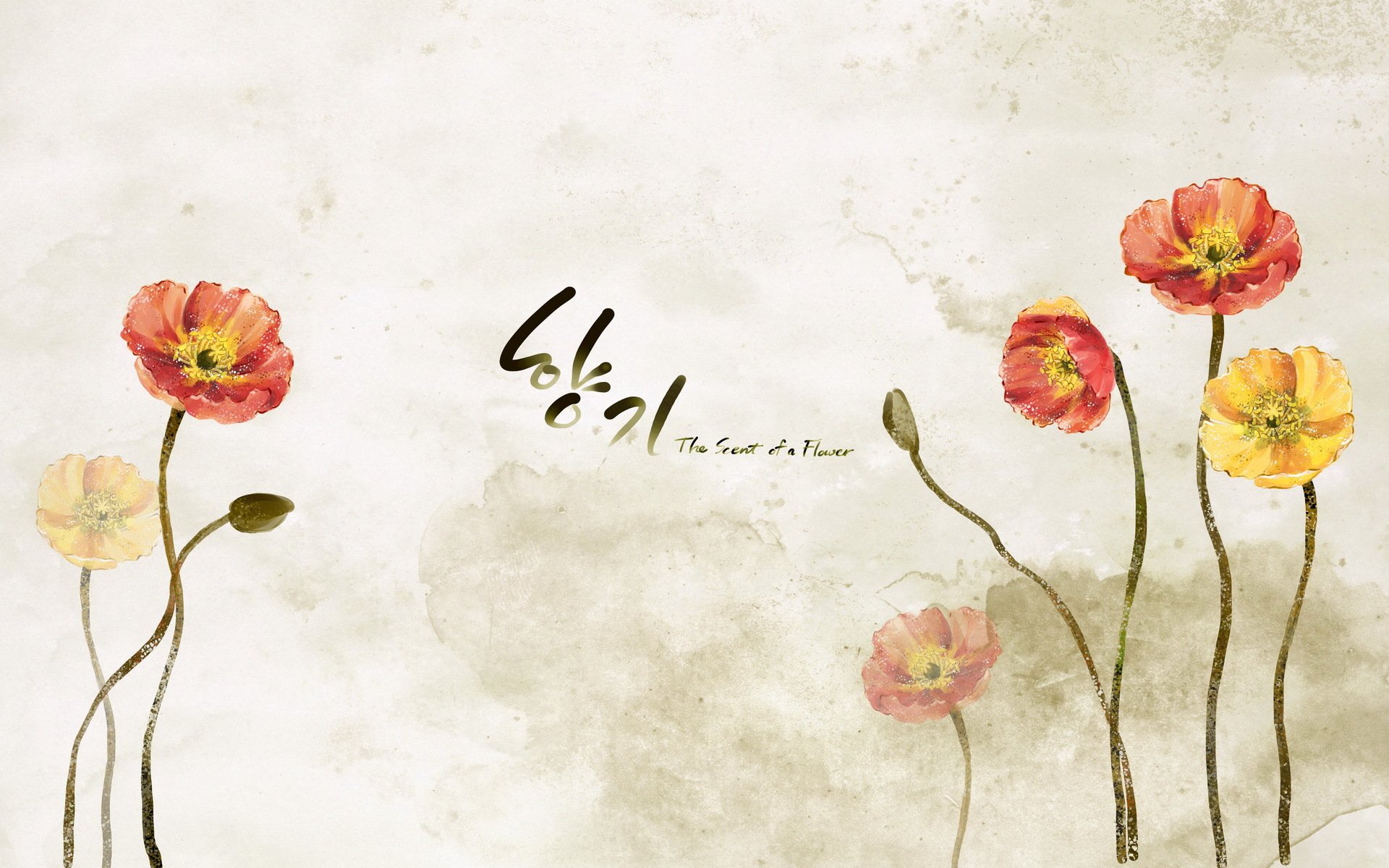 小清新,浪漫,简约,花卉,宽屏