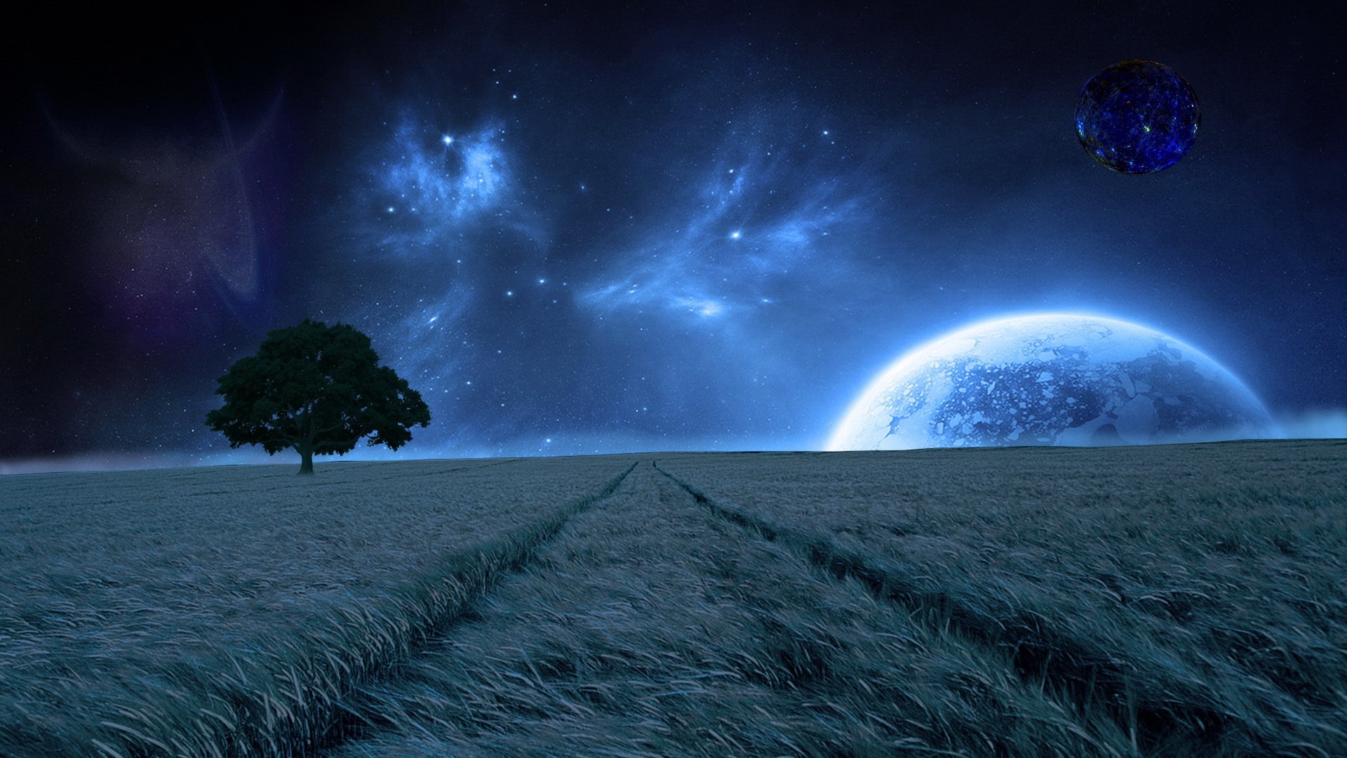 夜景,星空,田野