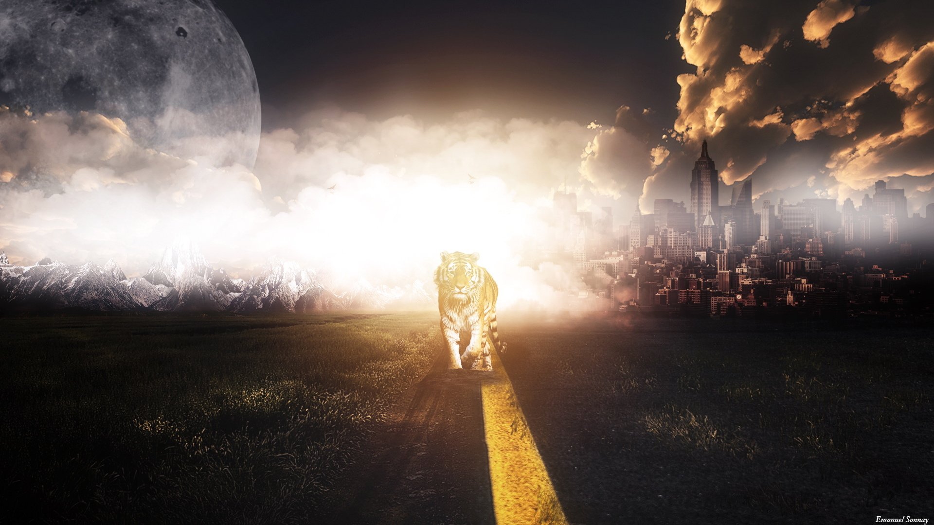 炫酷,老虎,猛虎