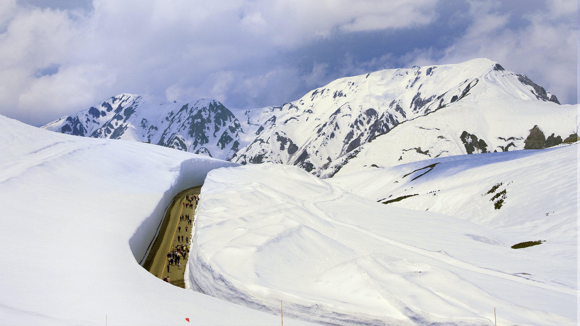 风景,雪地,护眼