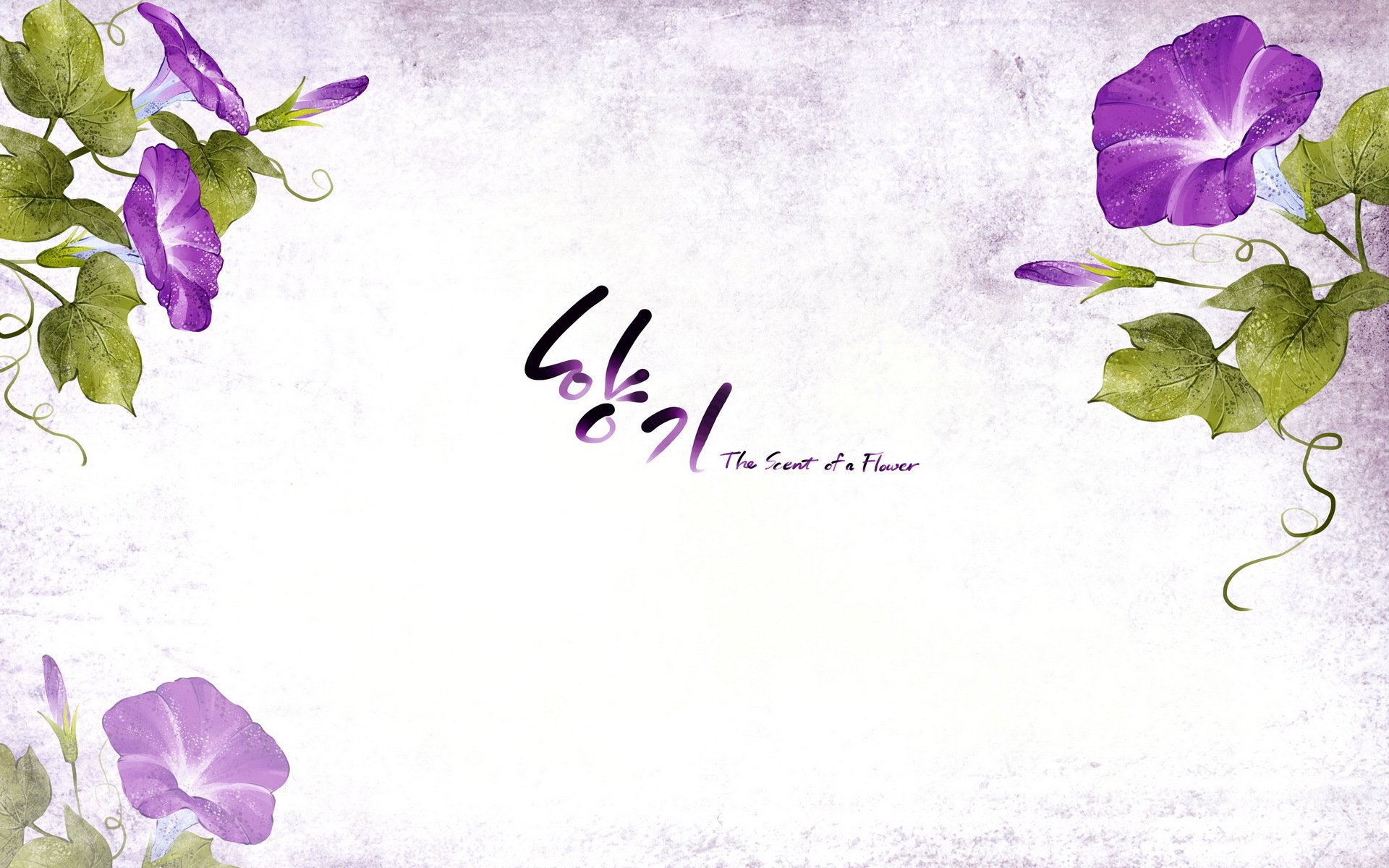 小清新,浪漫,简约,花卉,宽屏