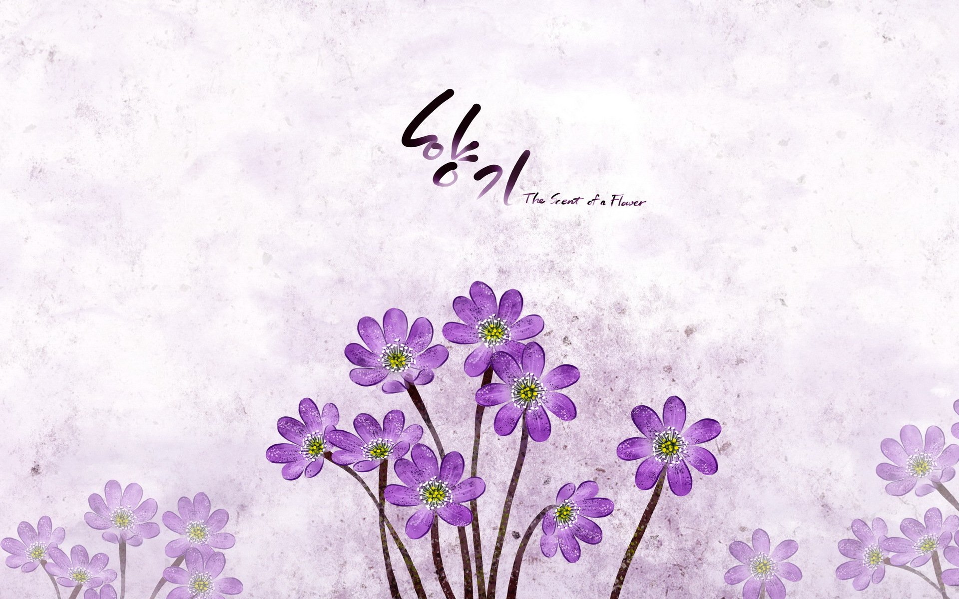 小清新,浪漫,简约,花卉,宽屏