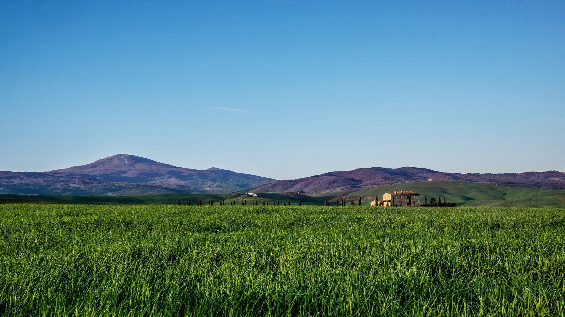 风景,草地,养眼