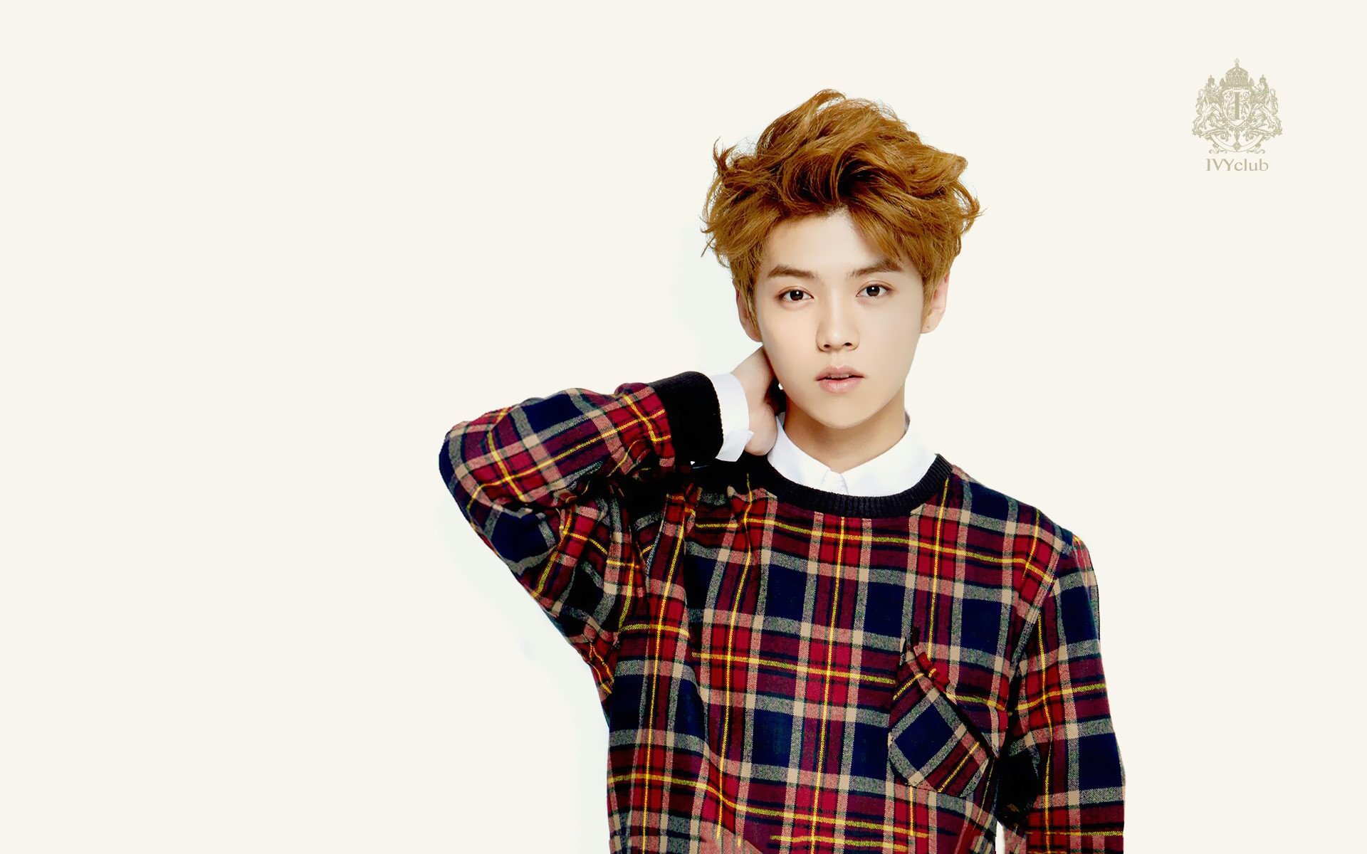 鹿晗,歌手,小鲜肉