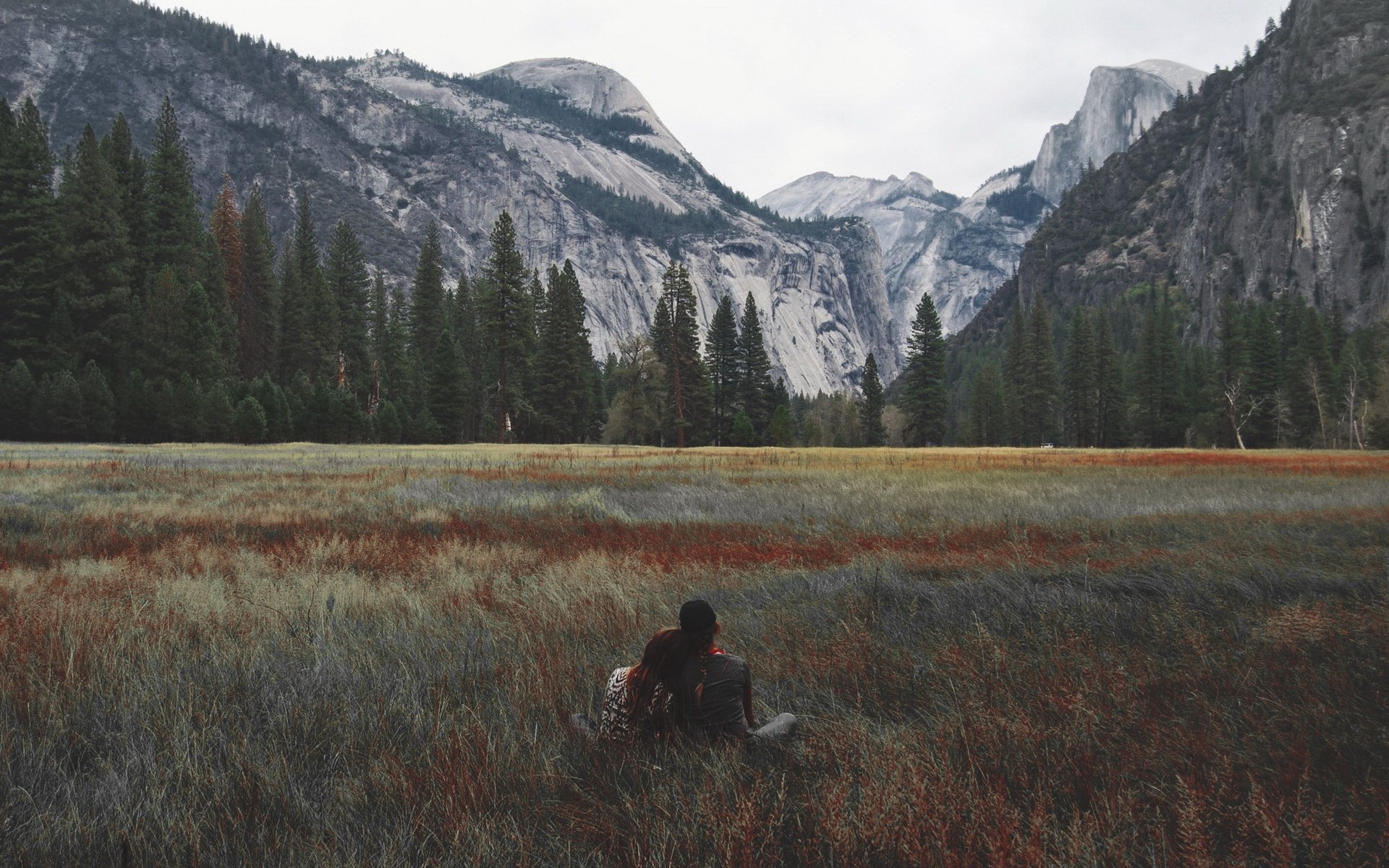 风景,雪山,草丛,情侣,树林