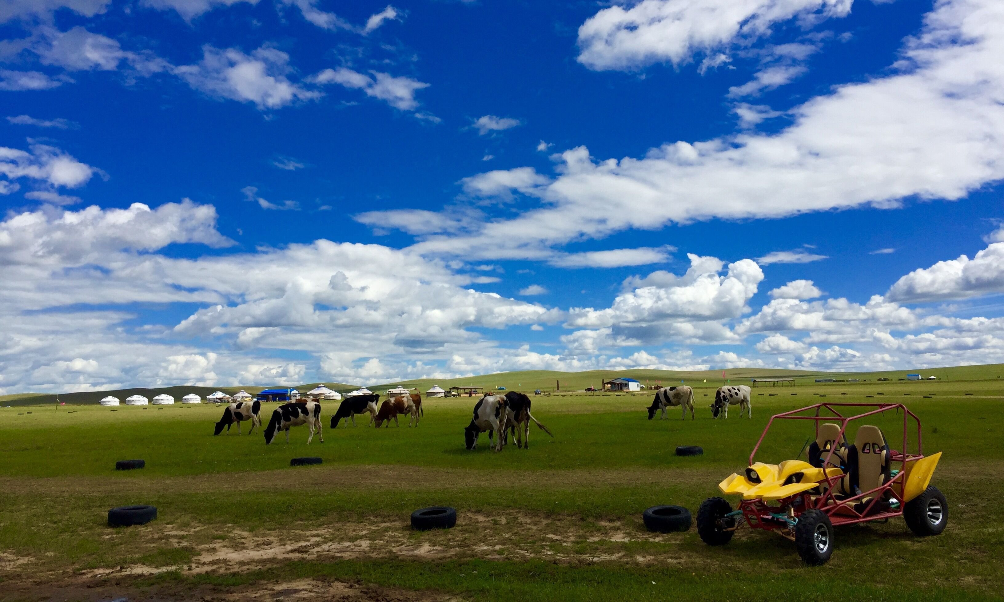 最美草原,呼伦贝尔,自然风光