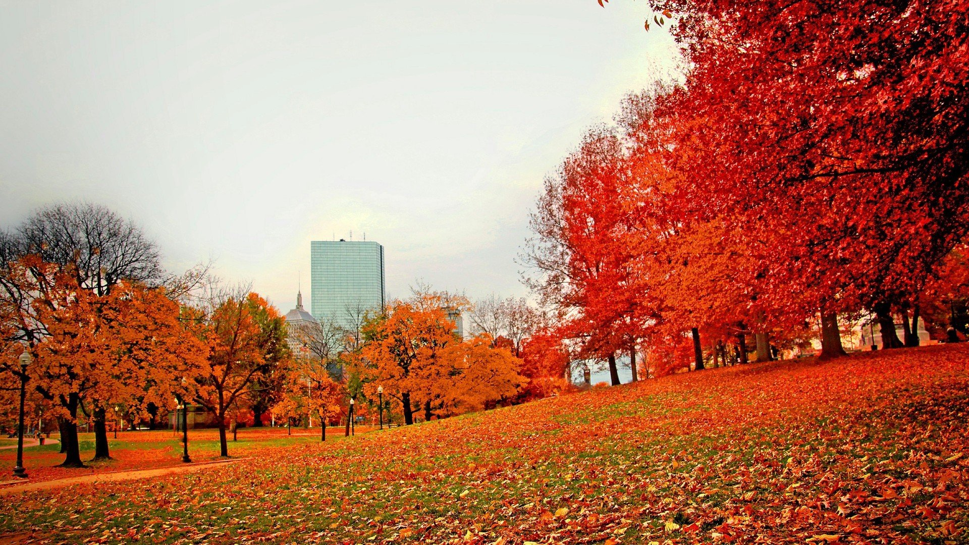 风景,秋高气爽,黄叶,秋意浓