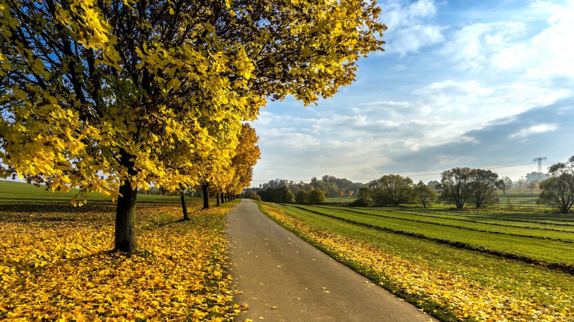 风景,秋高气爽,黄叶,秋意浓