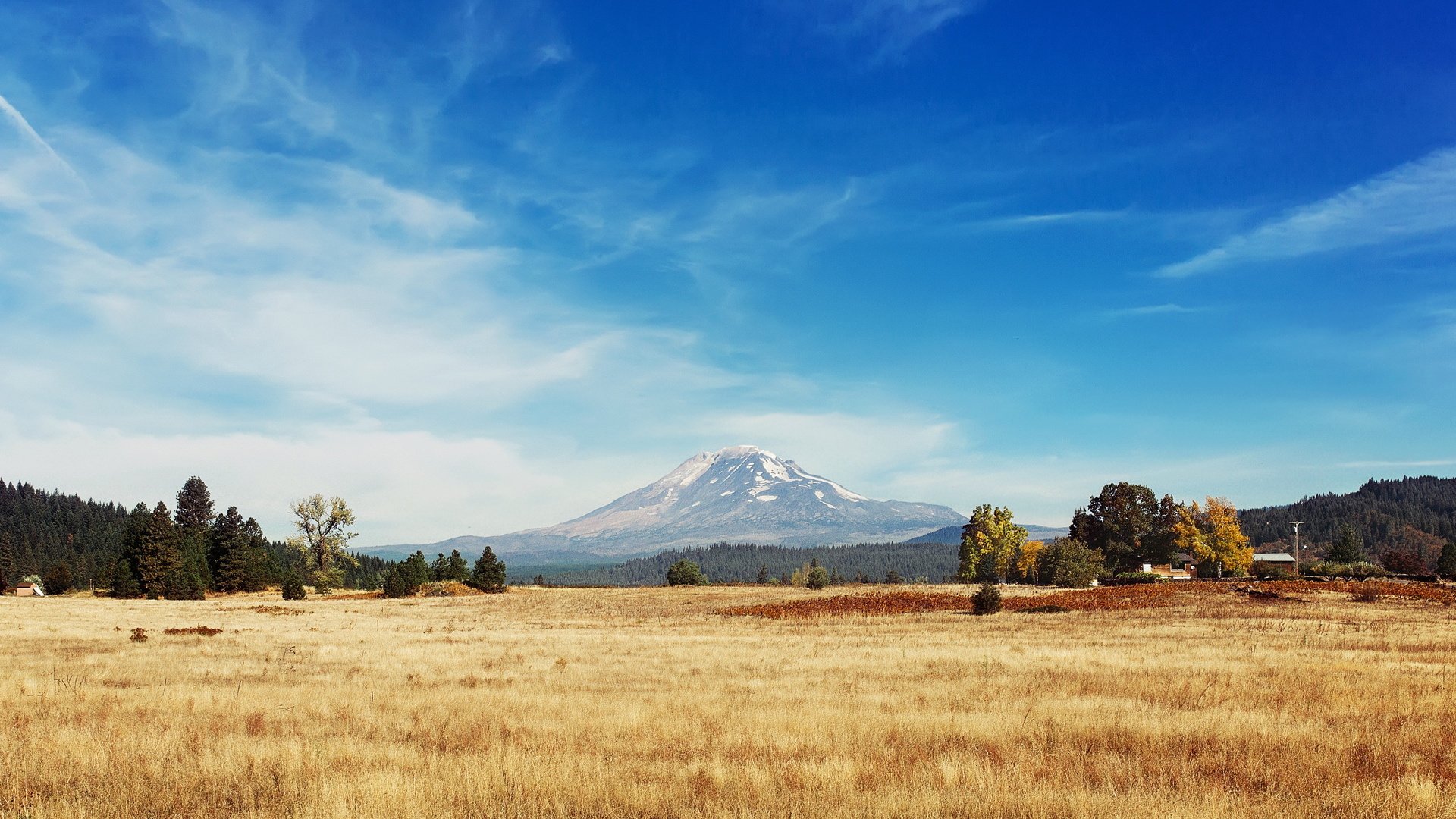 风景,高山,树林,草原