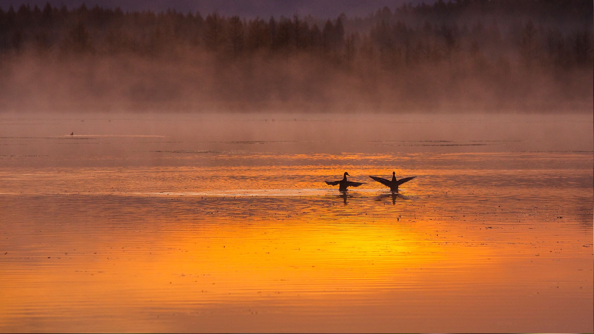 日落,黄昏,风景