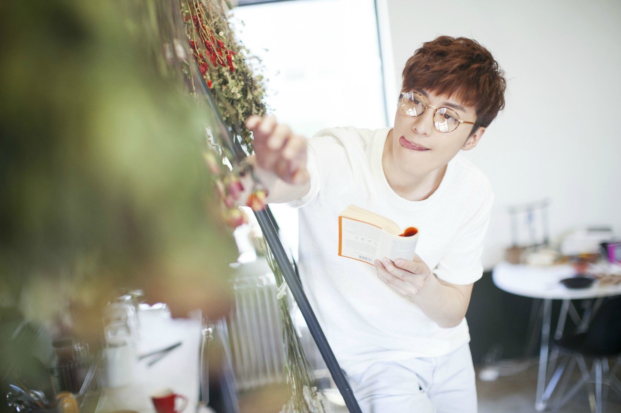 明星,Kimi,乔任梁,帅哥