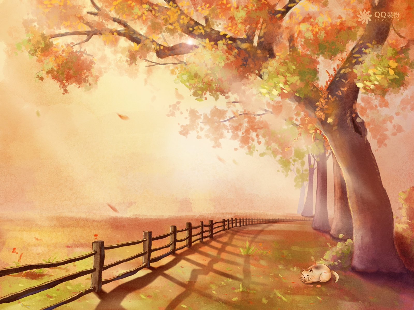 秋日风景,落叶路