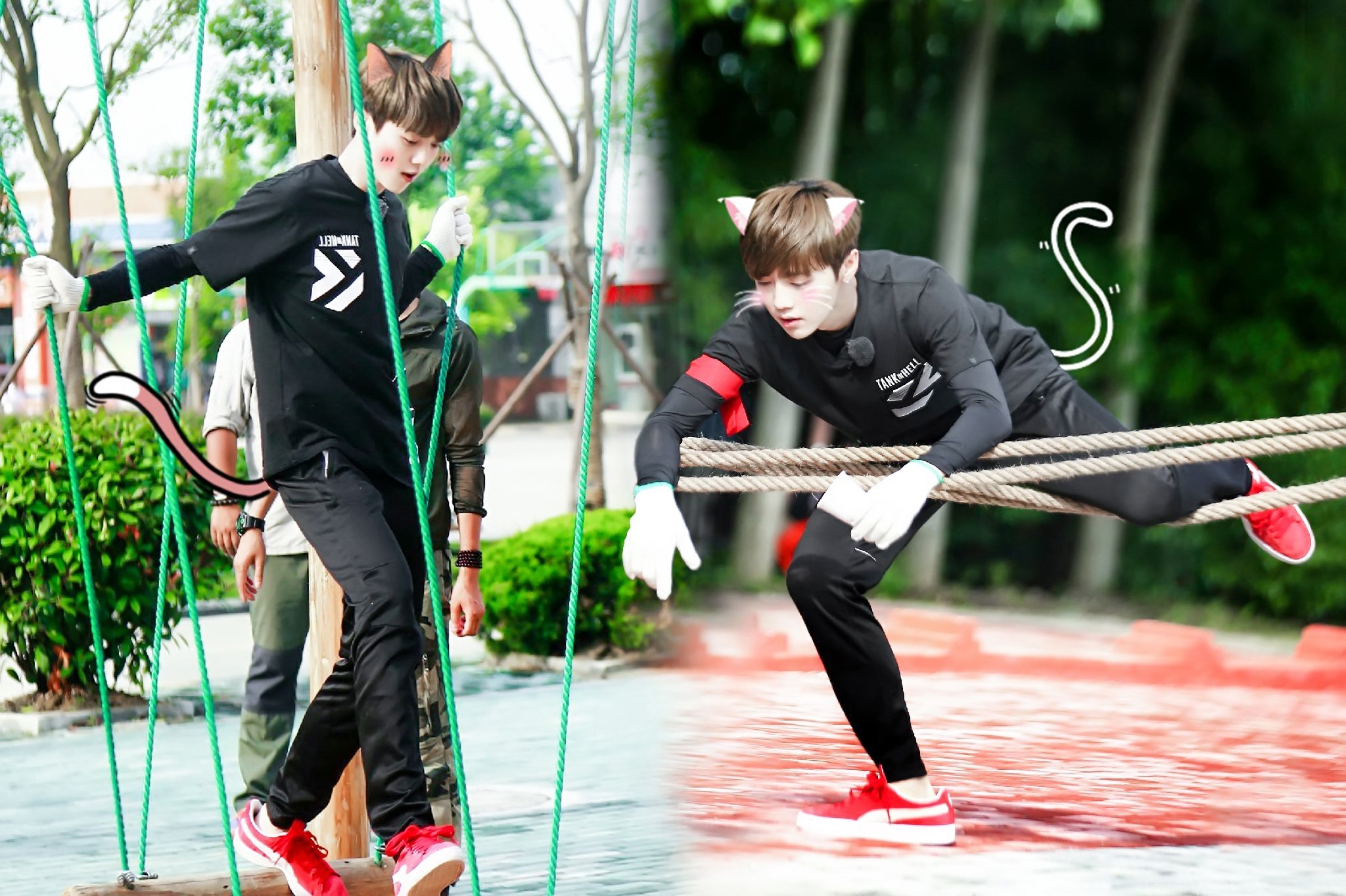 明星,鹿晗,我去上学啦,综艺