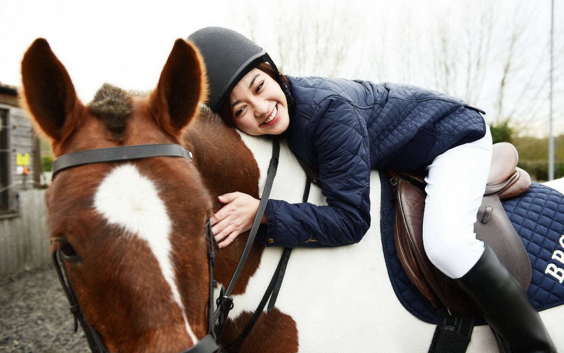 陈大发,花儿与少年,元气少女