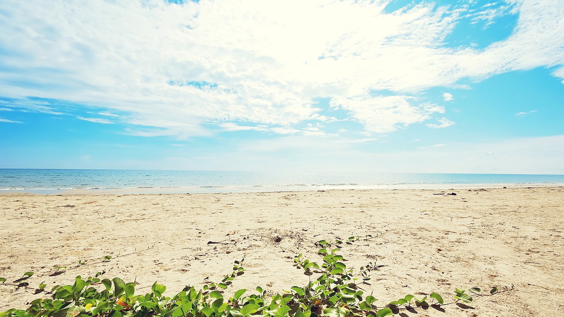 海边,风景,小清新