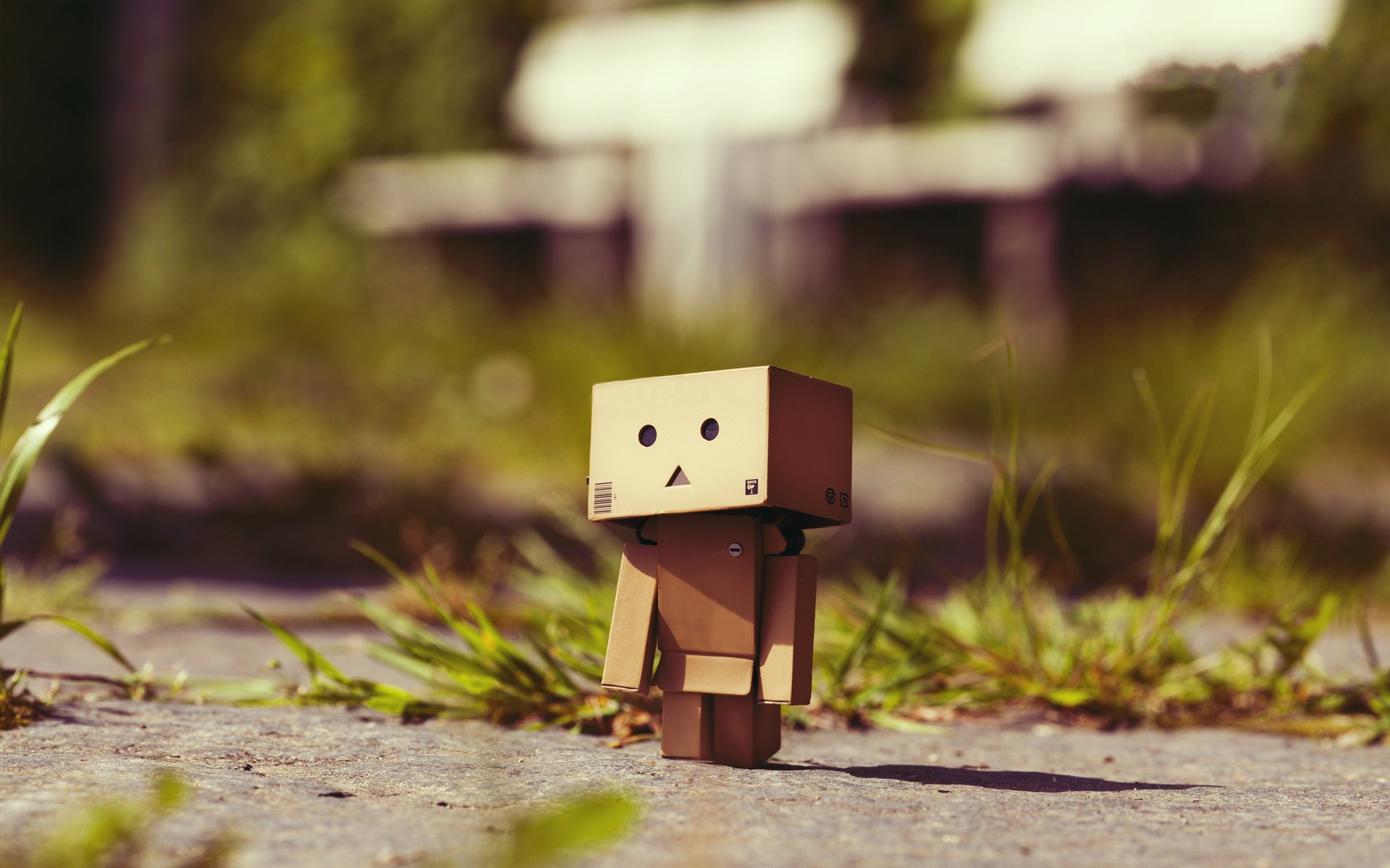 小清新,纸箱人,呆萌,可爱,宽屏