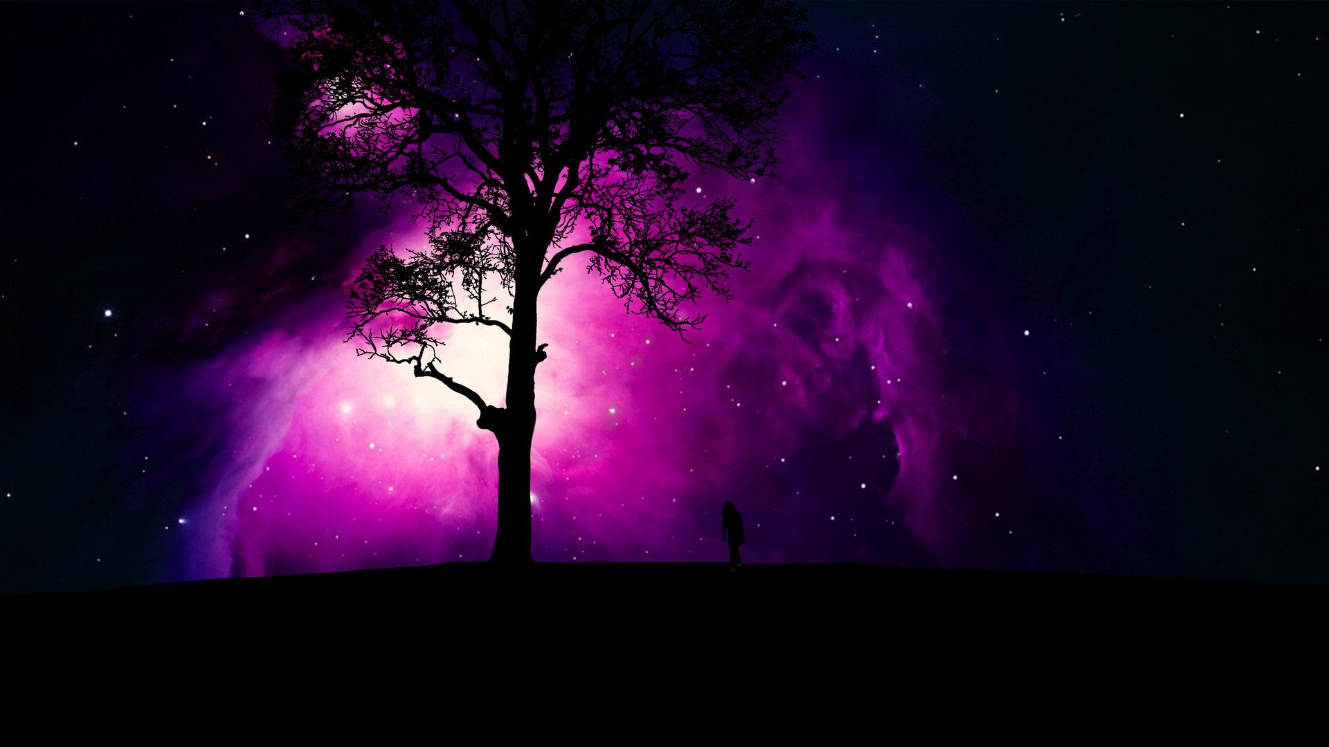 风景,星空,树影,和谐美好,宽屏