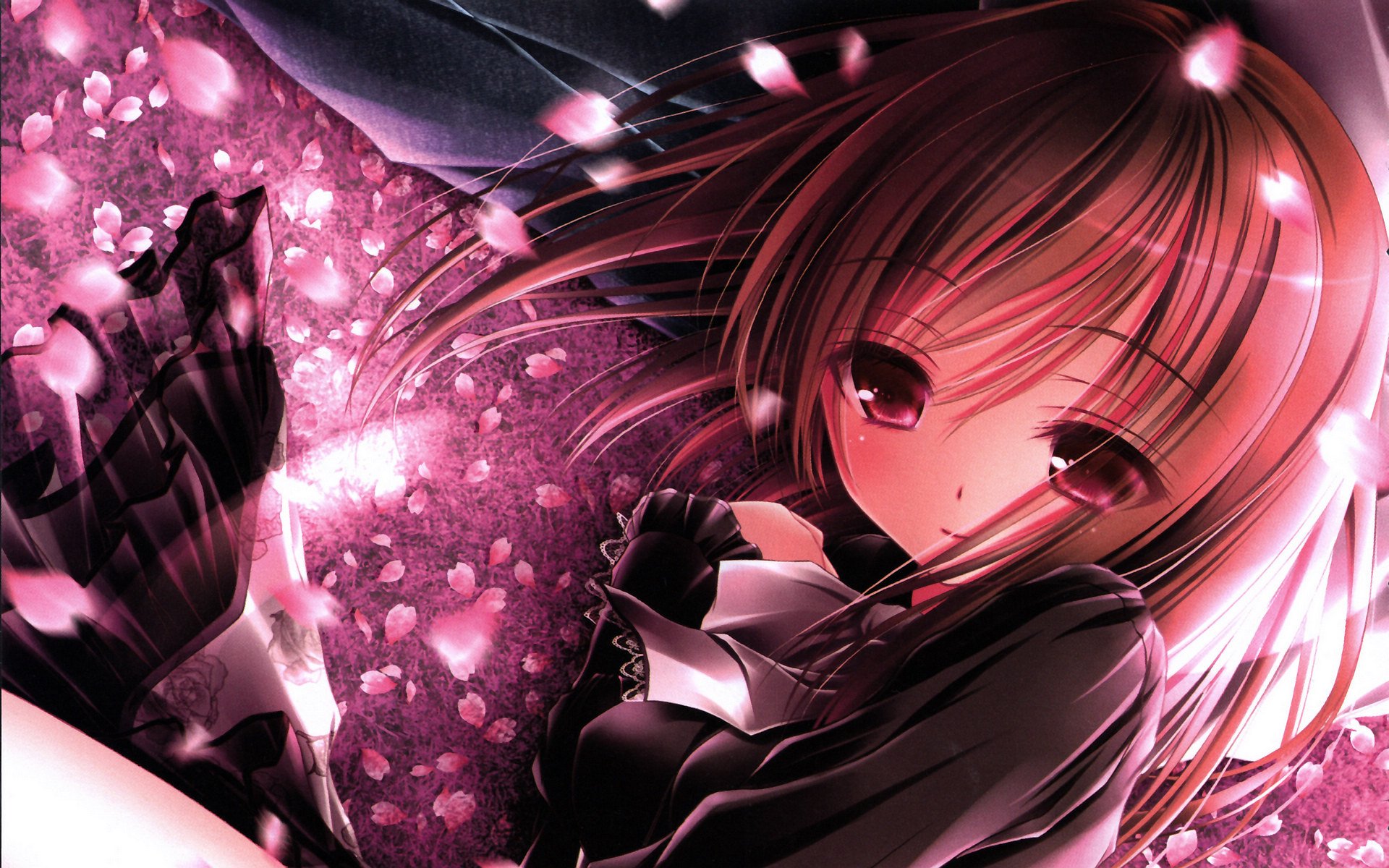 动漫,萌妹子,小萝莉,呆萌可爱,宽屏