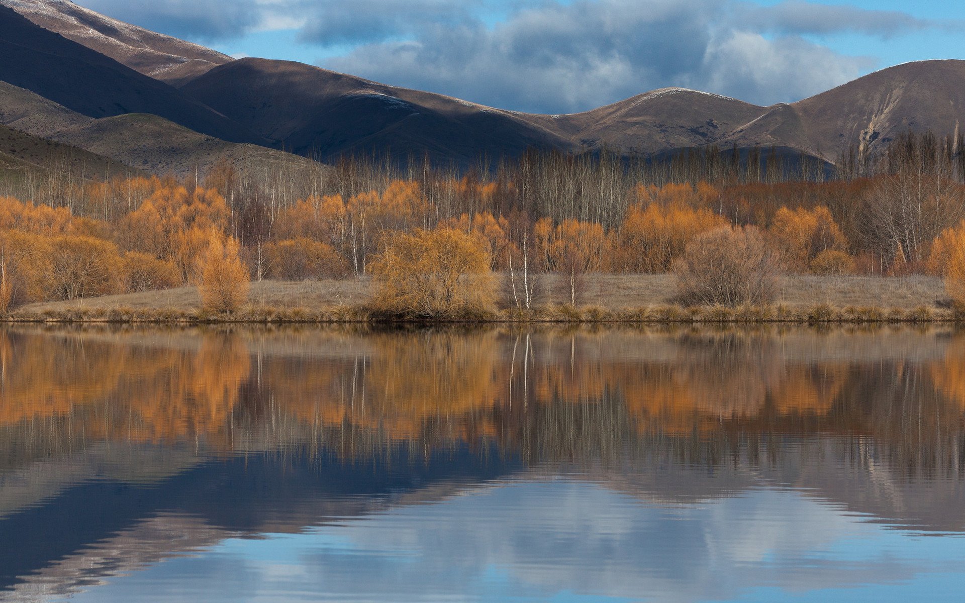 风景,自然美景,萧瑟,宽屏