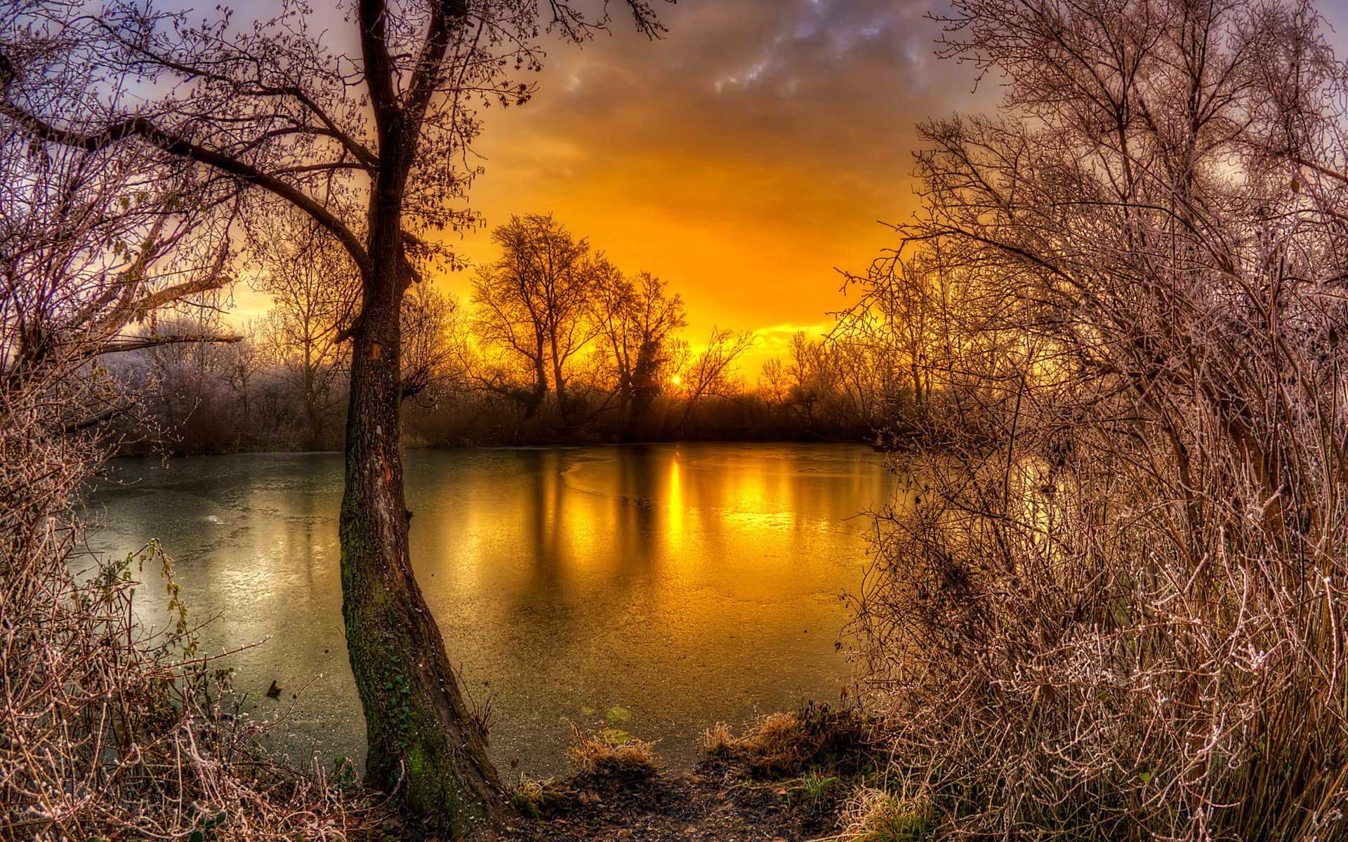 风景,自然风景,托斯卡纳,美丽壮观,宽屏