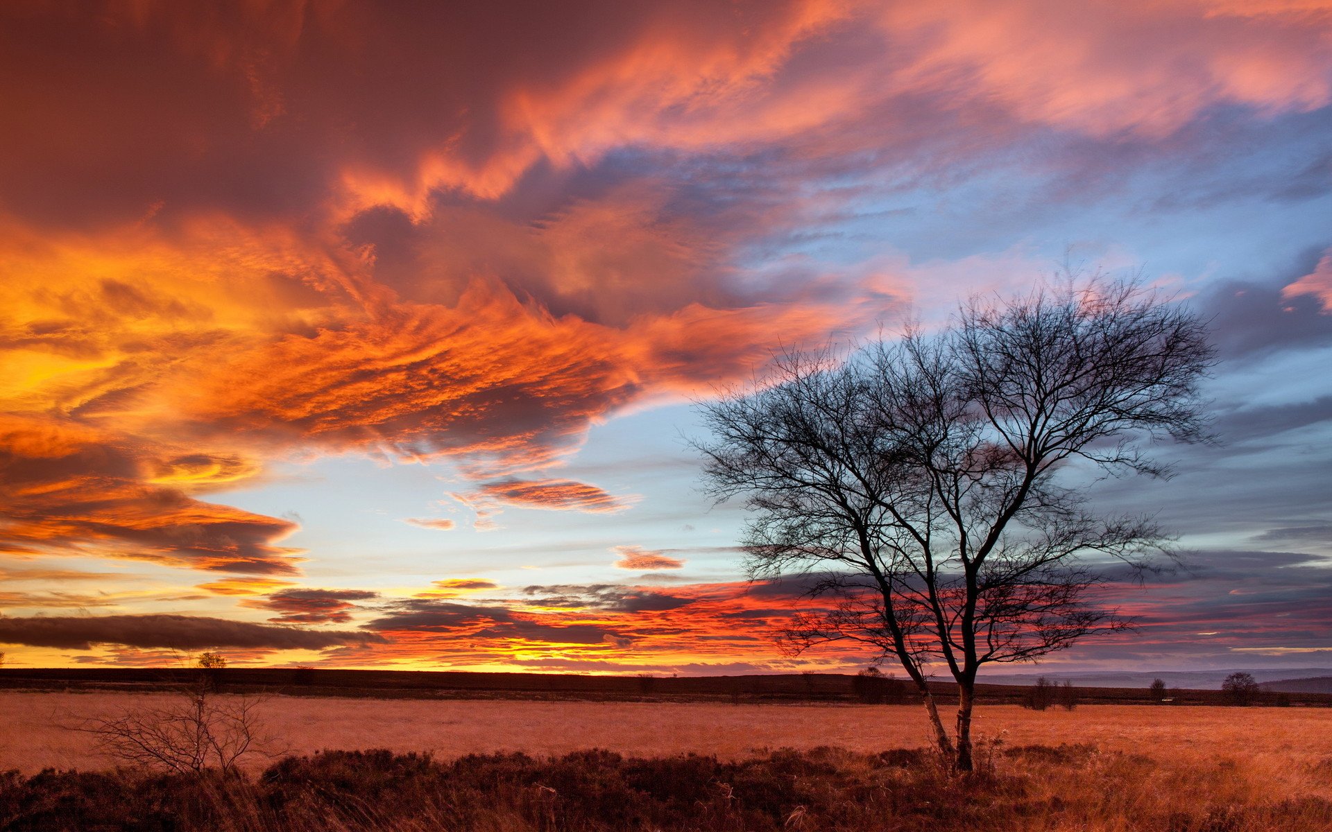 风景,自然美景,黄昏,晚霞漫天,宽屏