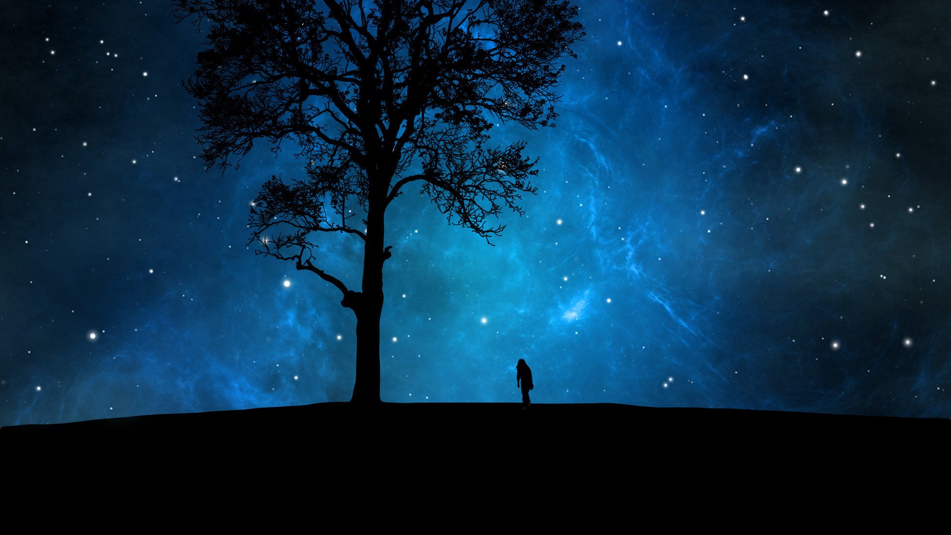 风景,星空,树影,和谐美好,宽屏