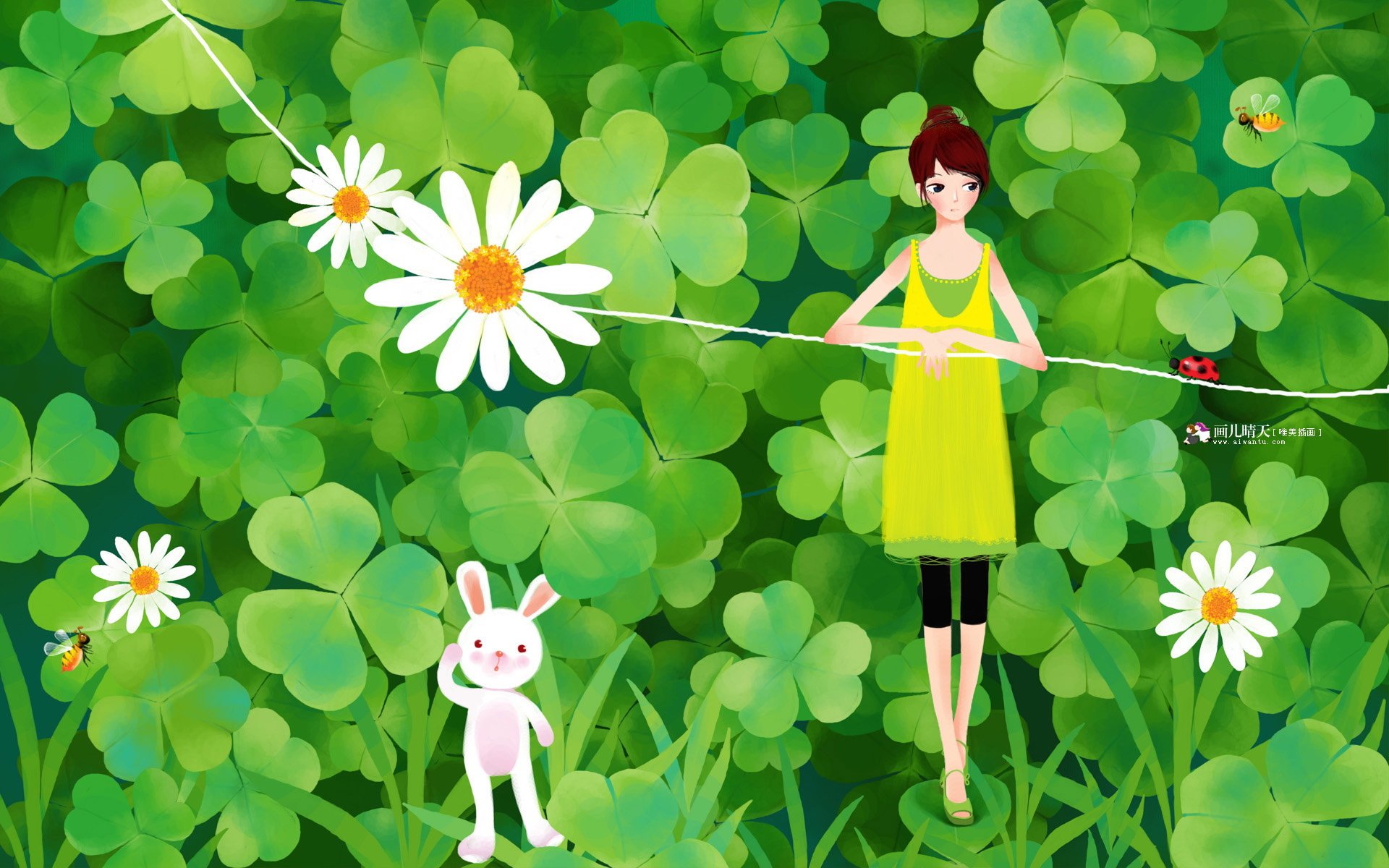 四叶草,小雏菊,绿色