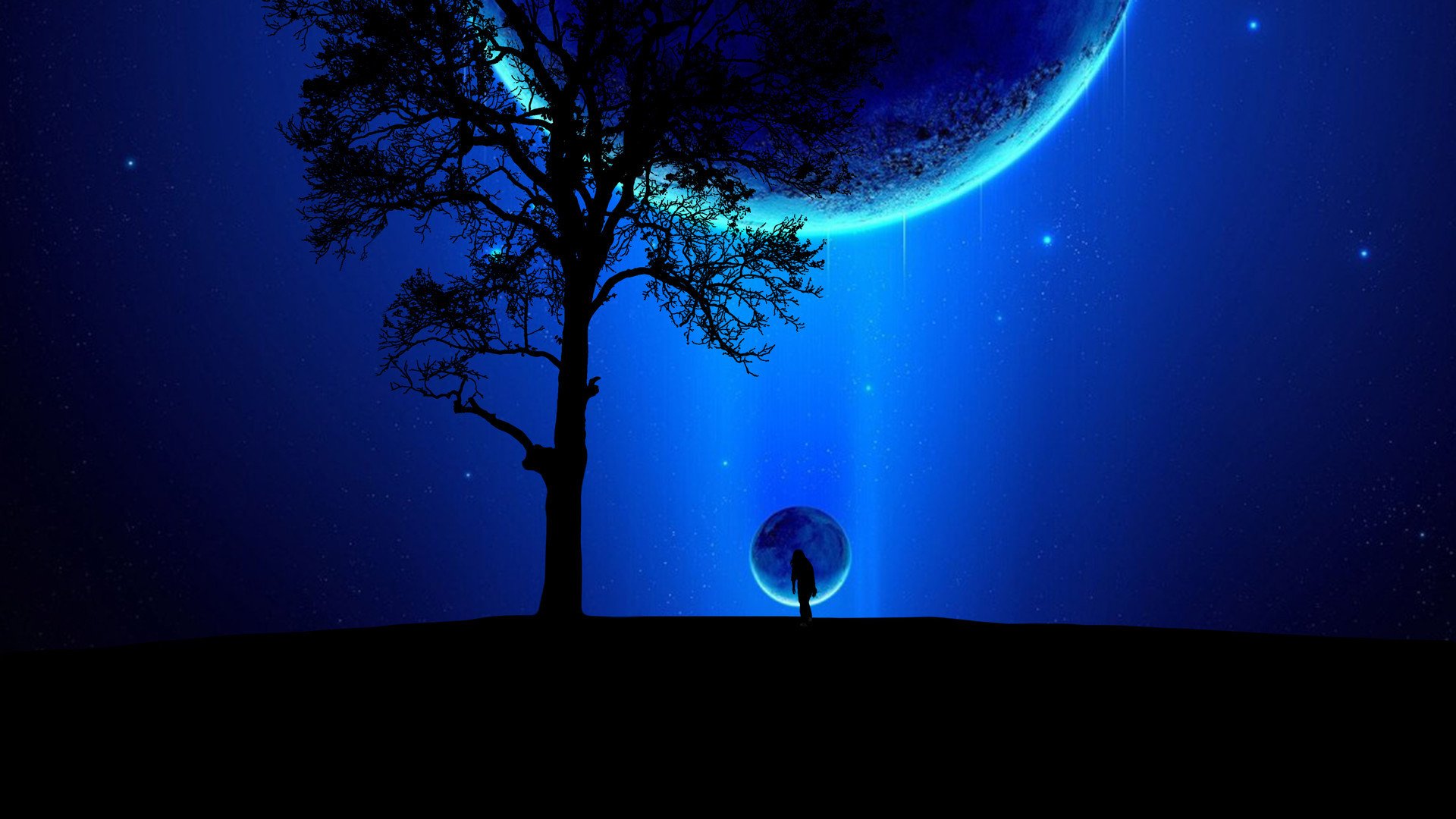 风景,星空,树影,和谐美好,宽屏