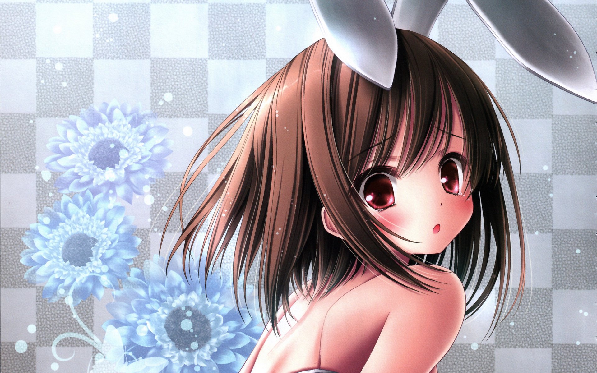 动漫,萌妹子,小萝莉,呆萌可爱,宽屏