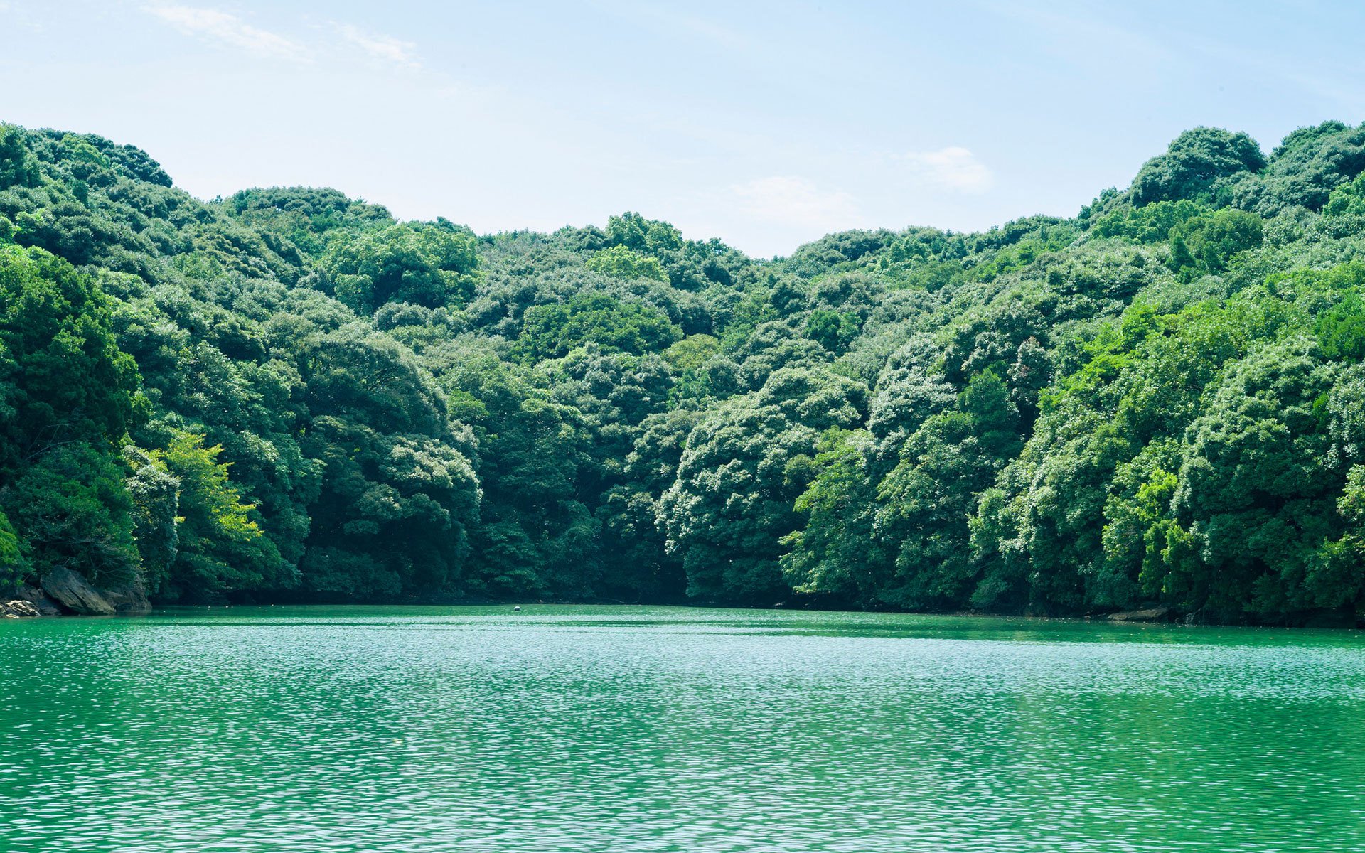 自然,湖泊,幽静,绿色