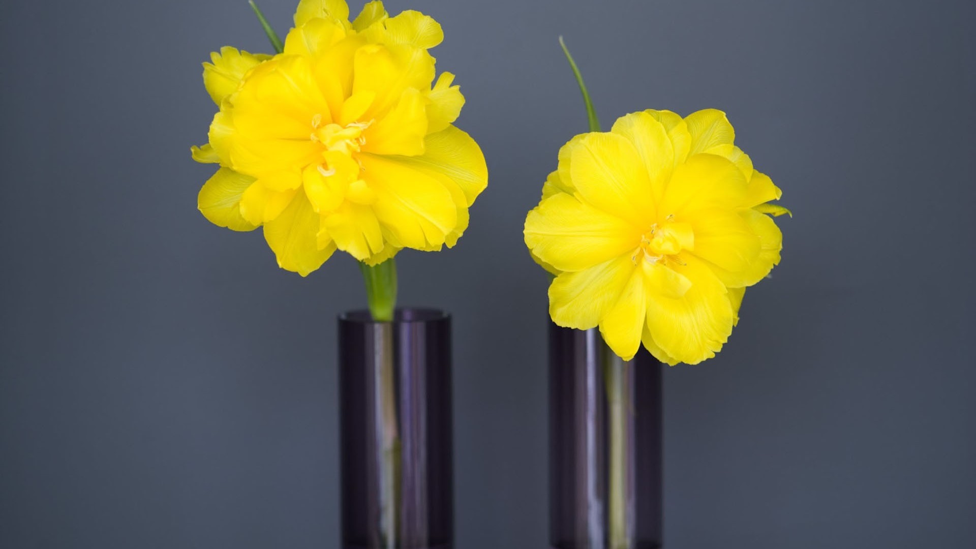 清新淡雅,花瓶,小黄花