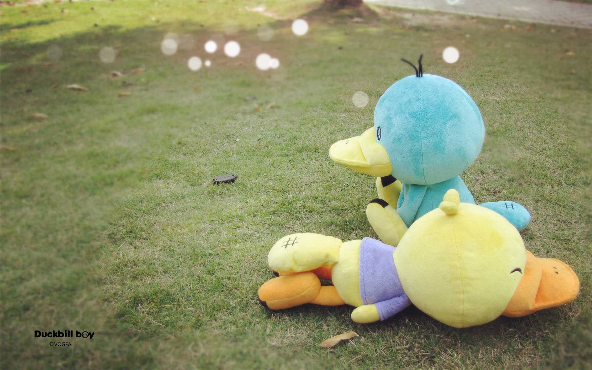 鸭嘴兽男孩,公仔