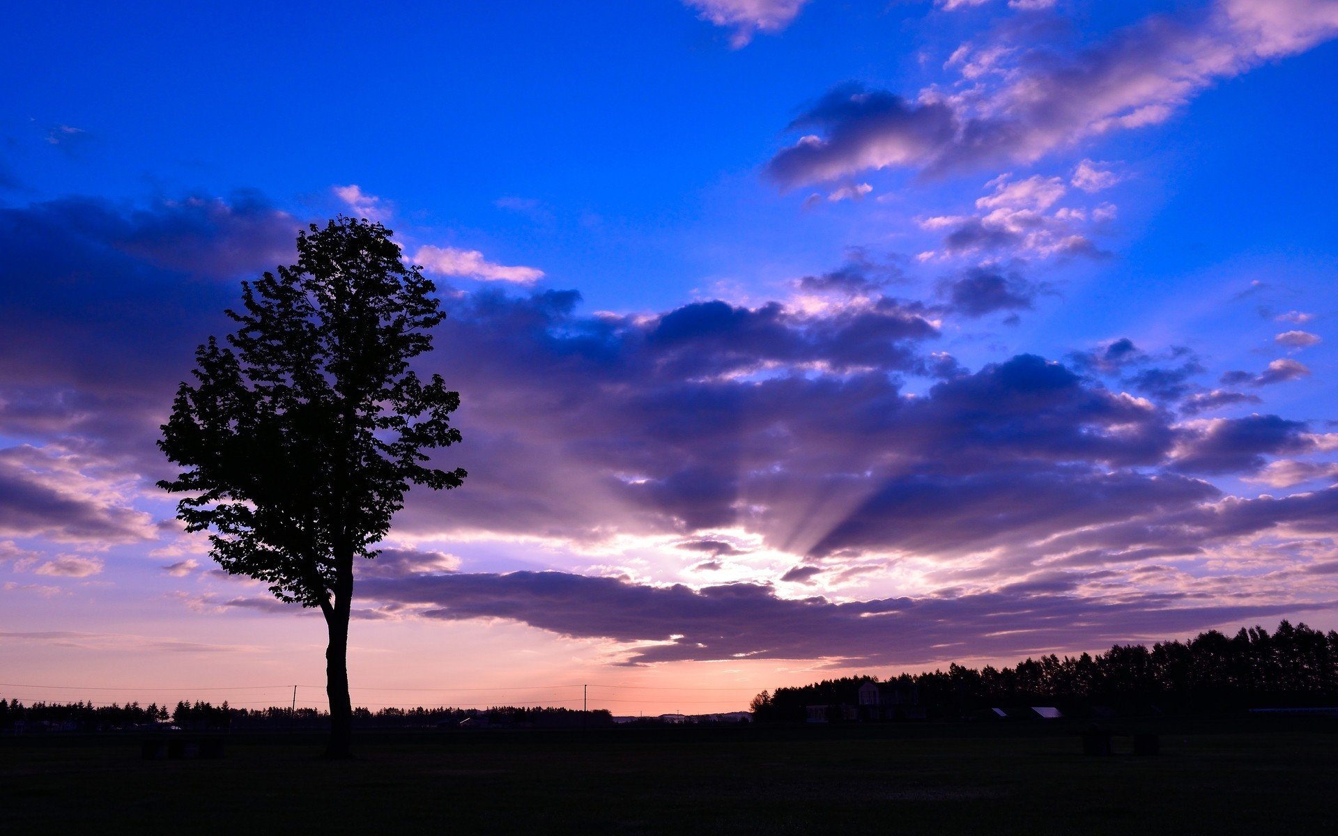 风景,自然美景,美丽壮观,宽屏