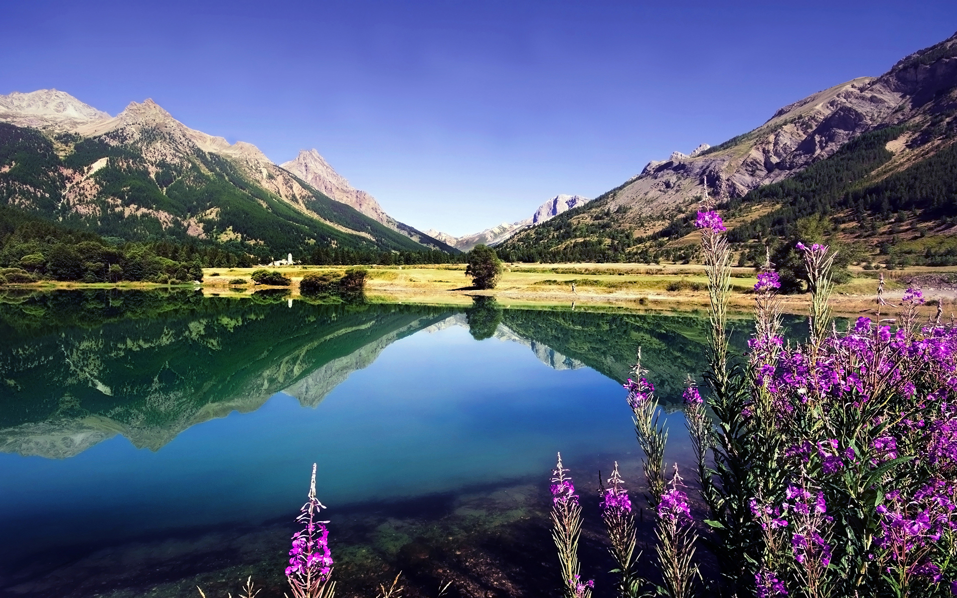 湖水,鲜花,山脉