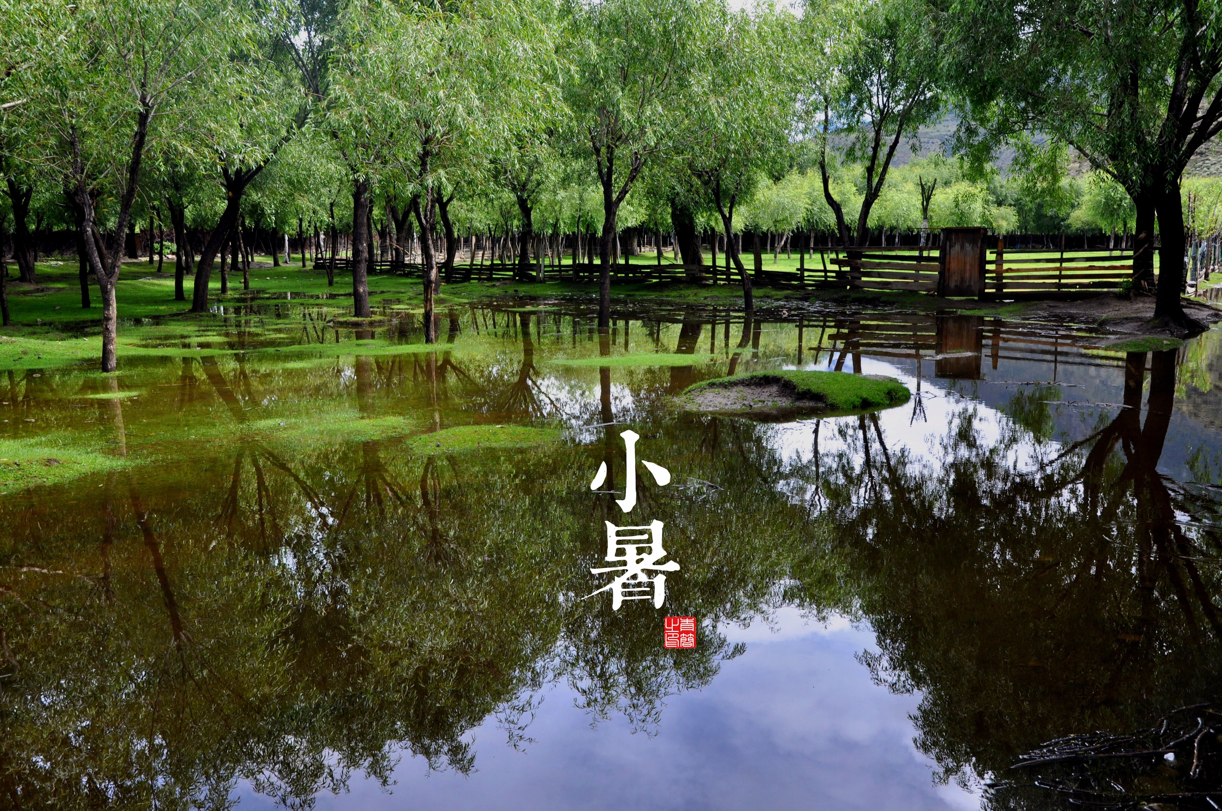 二十四节气,小暑