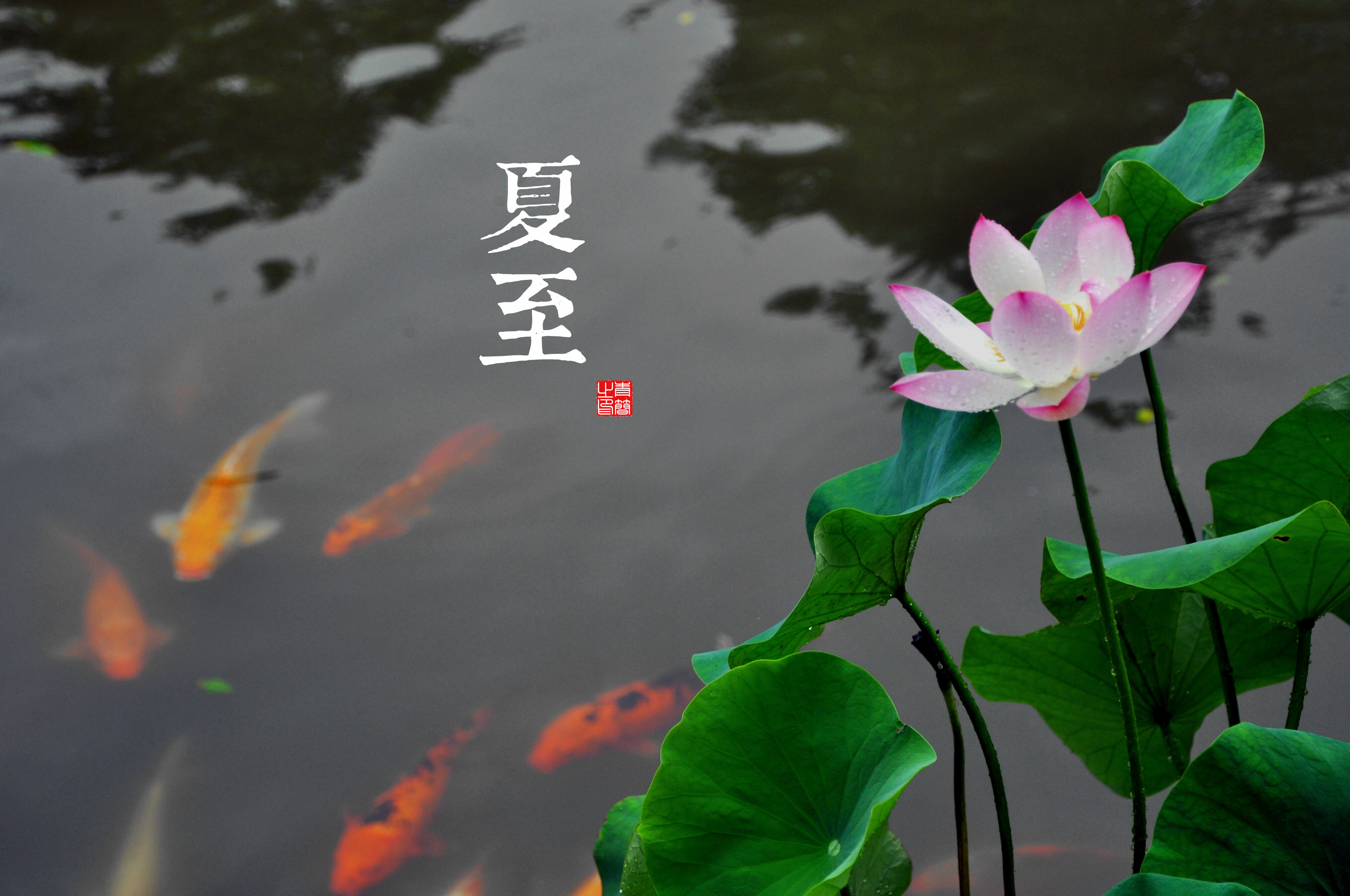 二十四节气,夏至