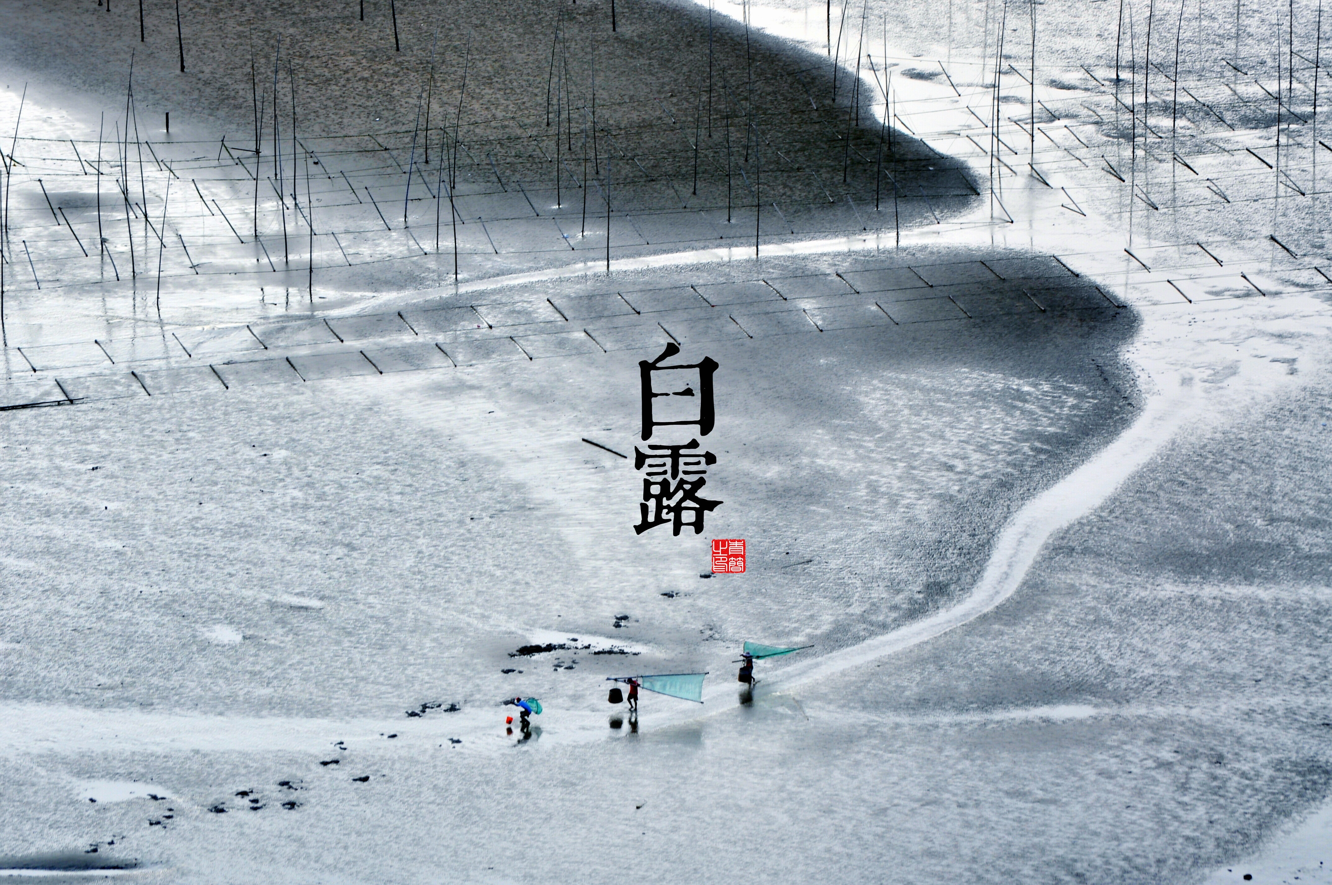 二十四节气,白露