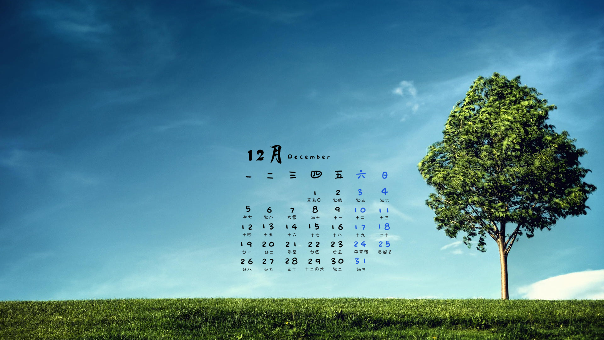 12月,小清新,树,草地