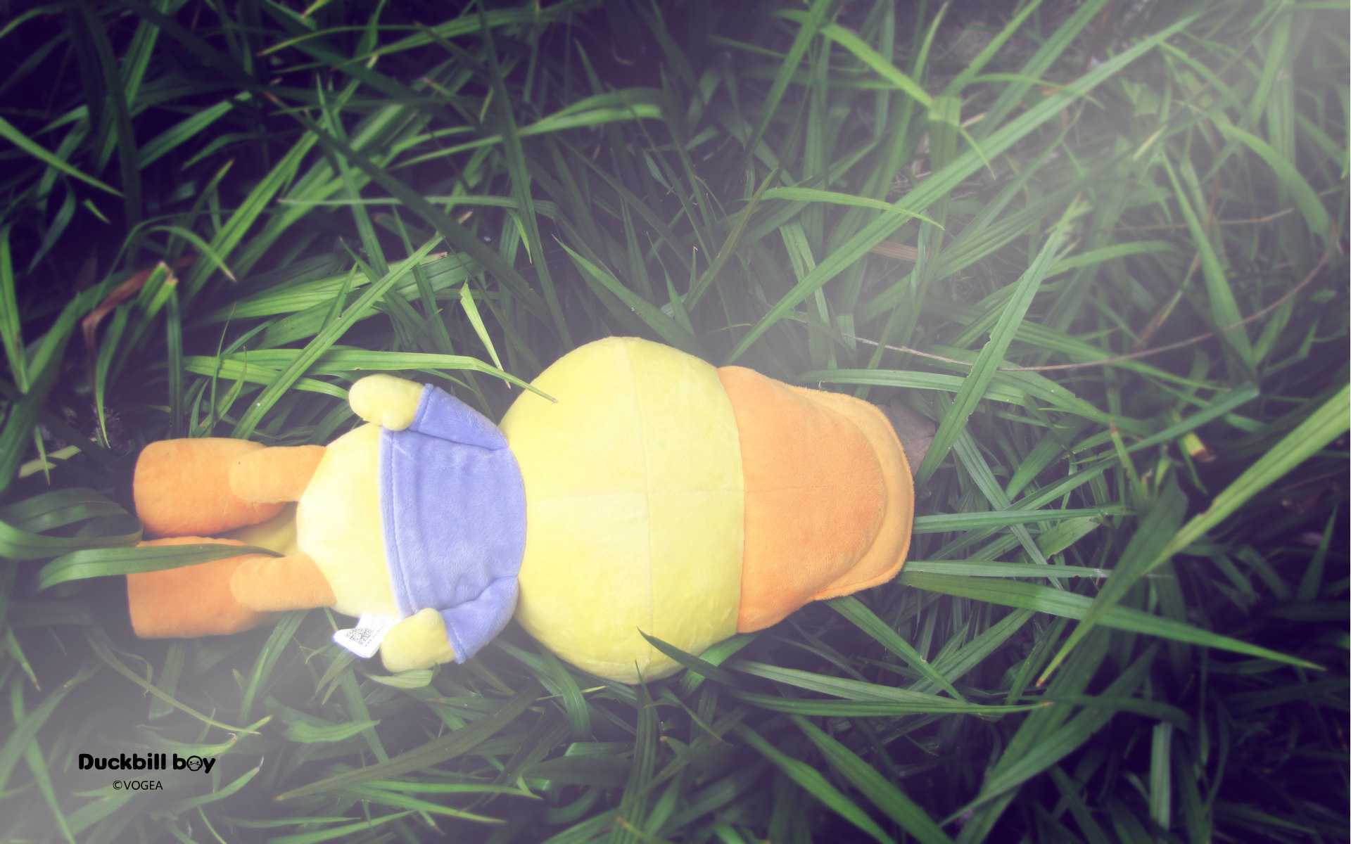 鸭嘴兽男孩,公仔