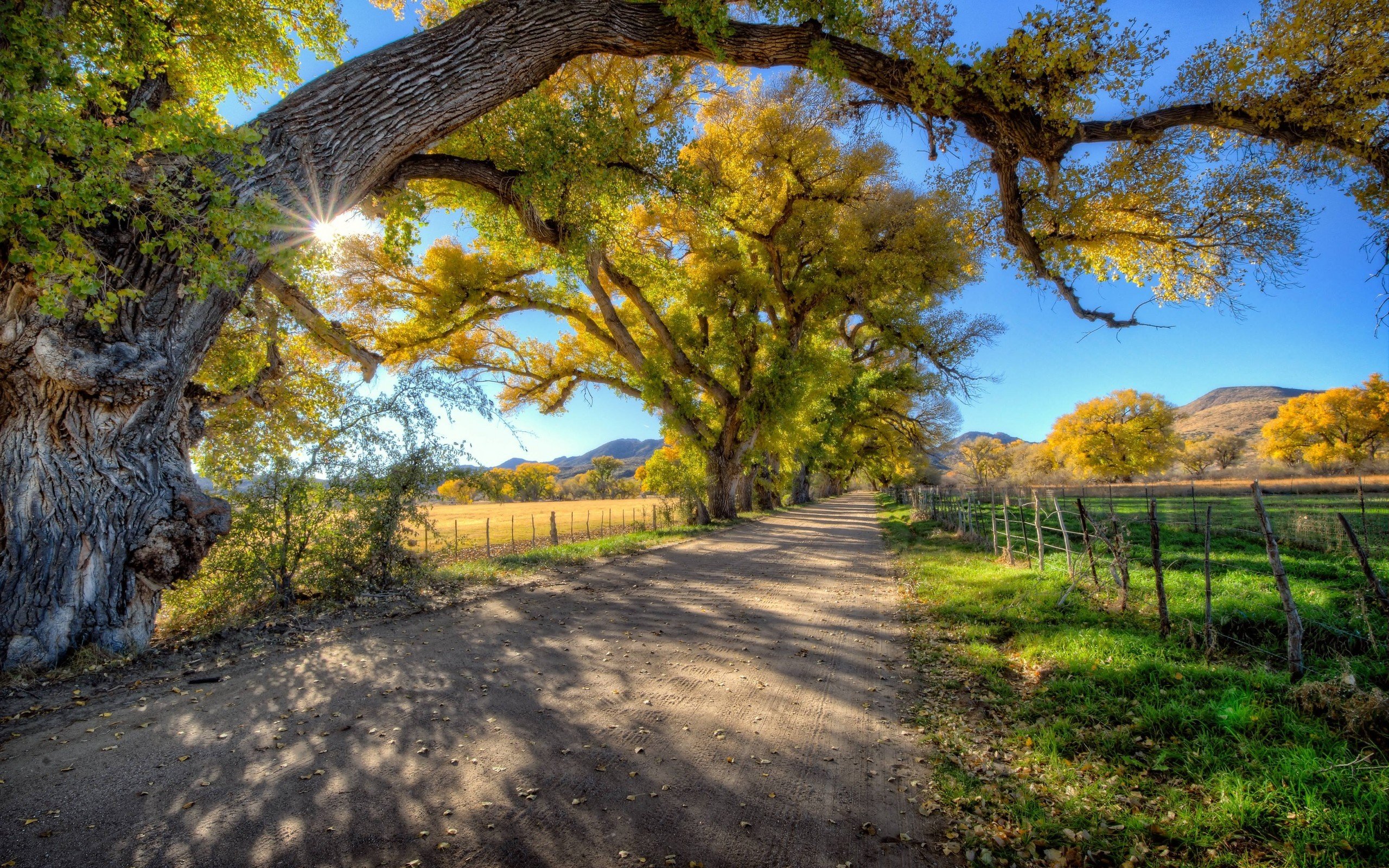 风景,自然风景,田园风光,宽屏