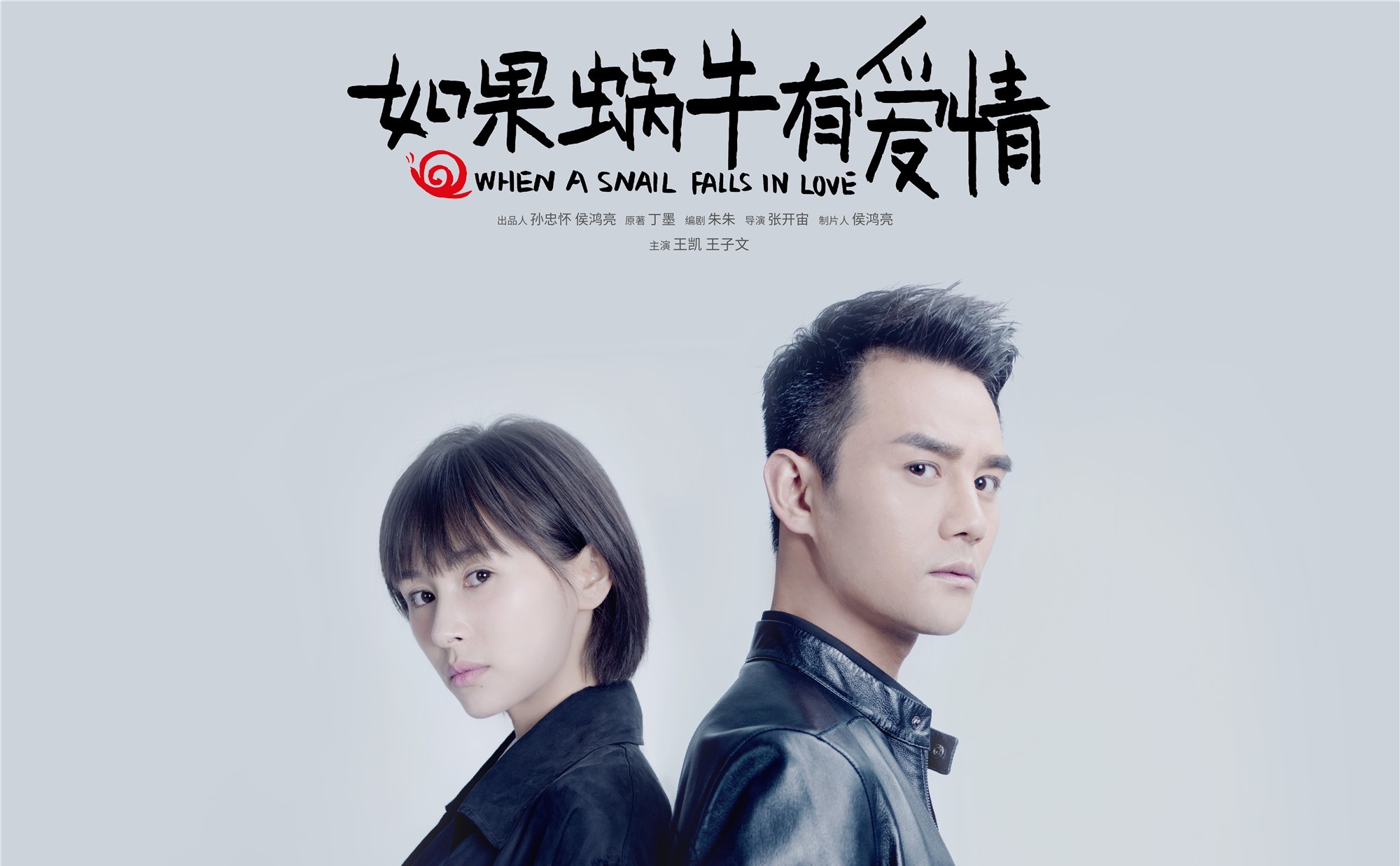 如果蜗牛有爱情,王凯,王子文,明星