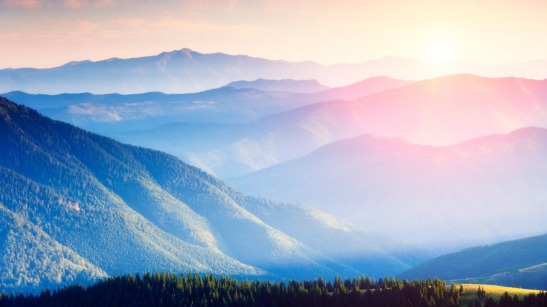 自然,美景,秀美