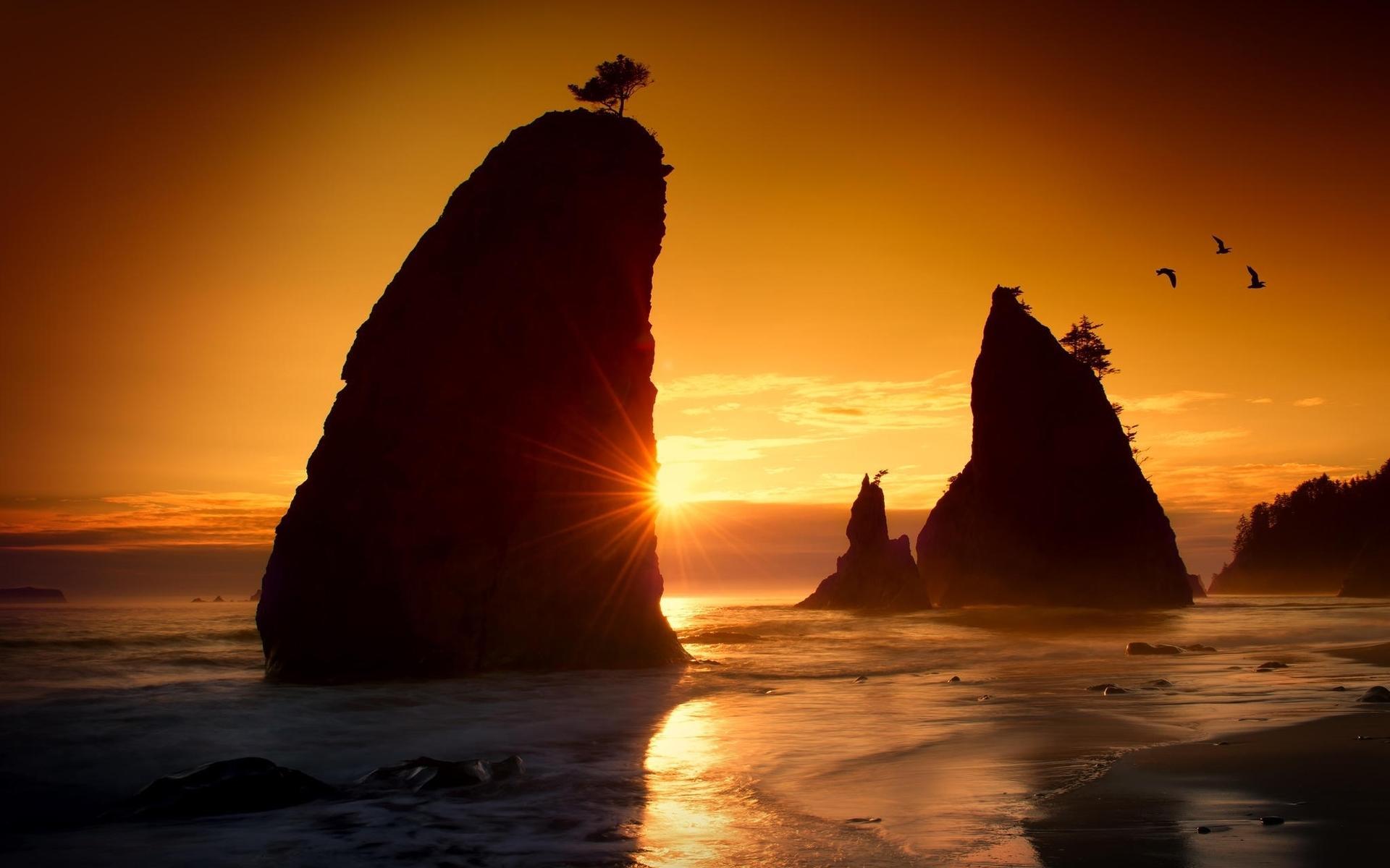 风景,黄昏,海滩