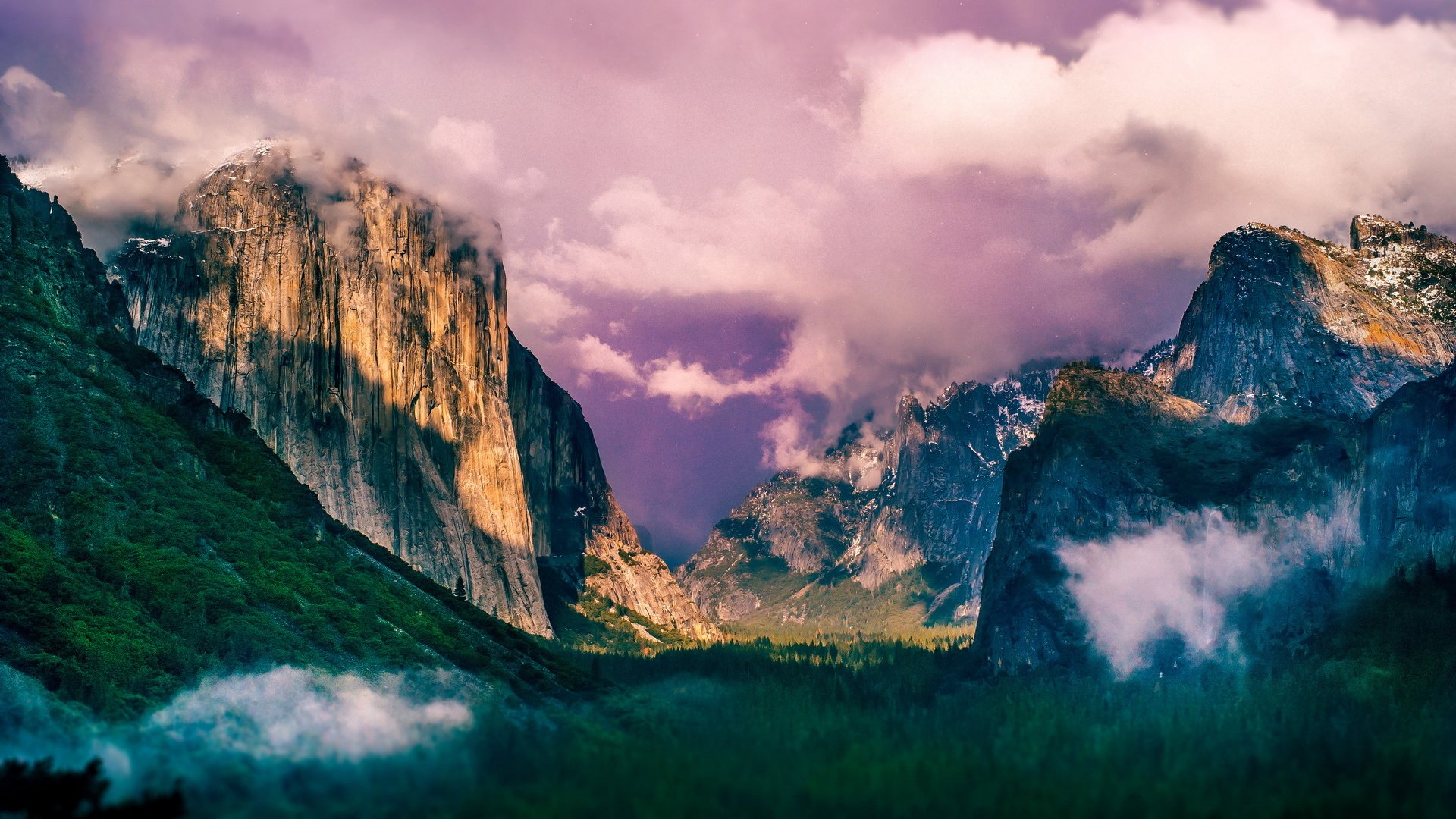 自然风光,山脉,森林