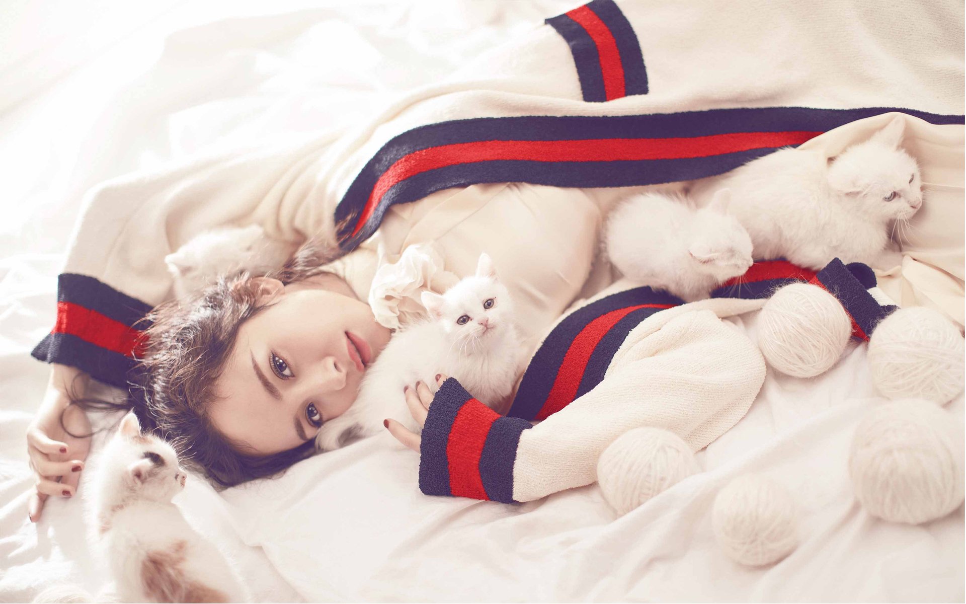 杨幂,冬日,猫咪