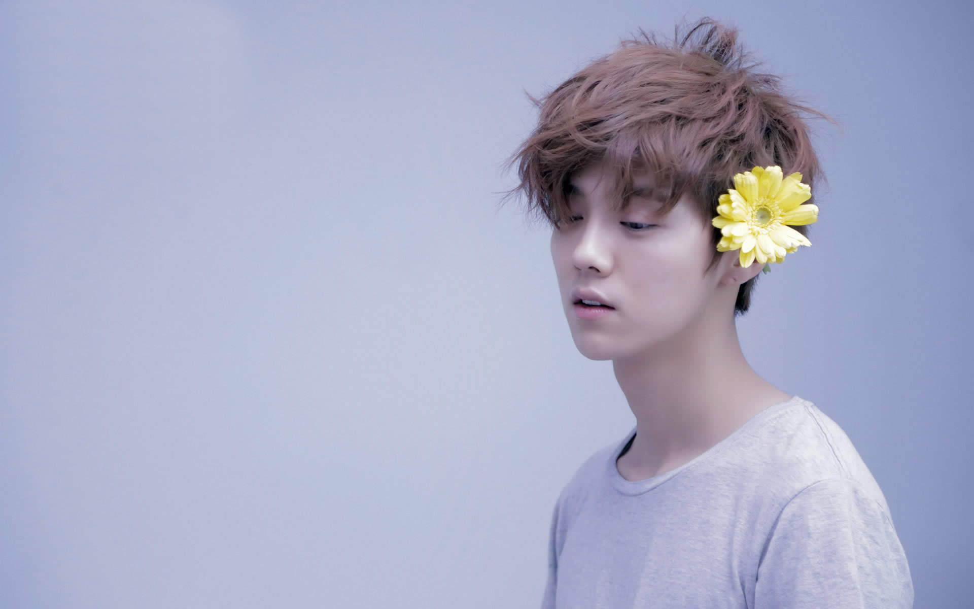 鹿晗,小清新,小黄花