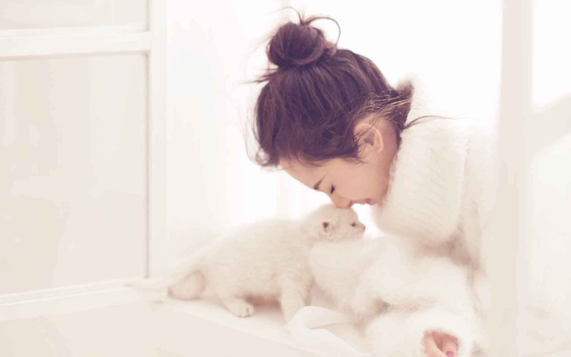 杨幂,写真,冬日,猫咪