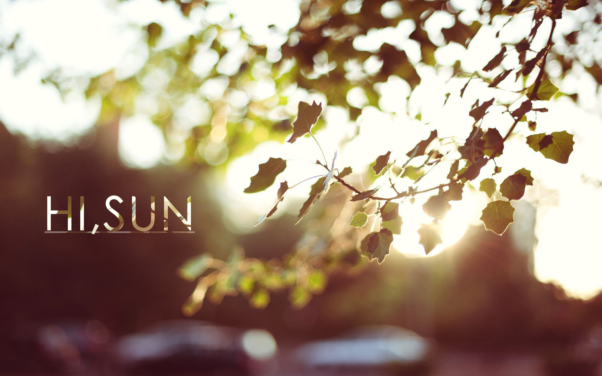 文字控,风景,炎炎夏日,你好,唯美,意境