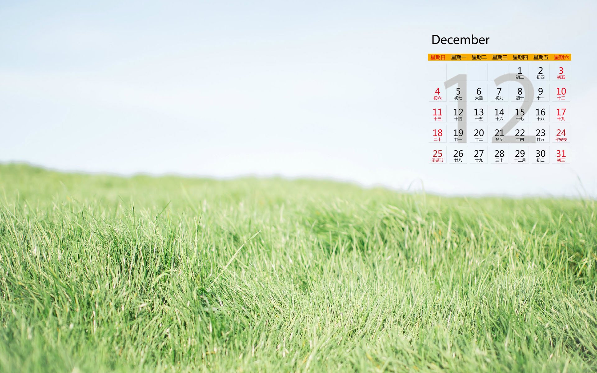 12月,草地,小清新